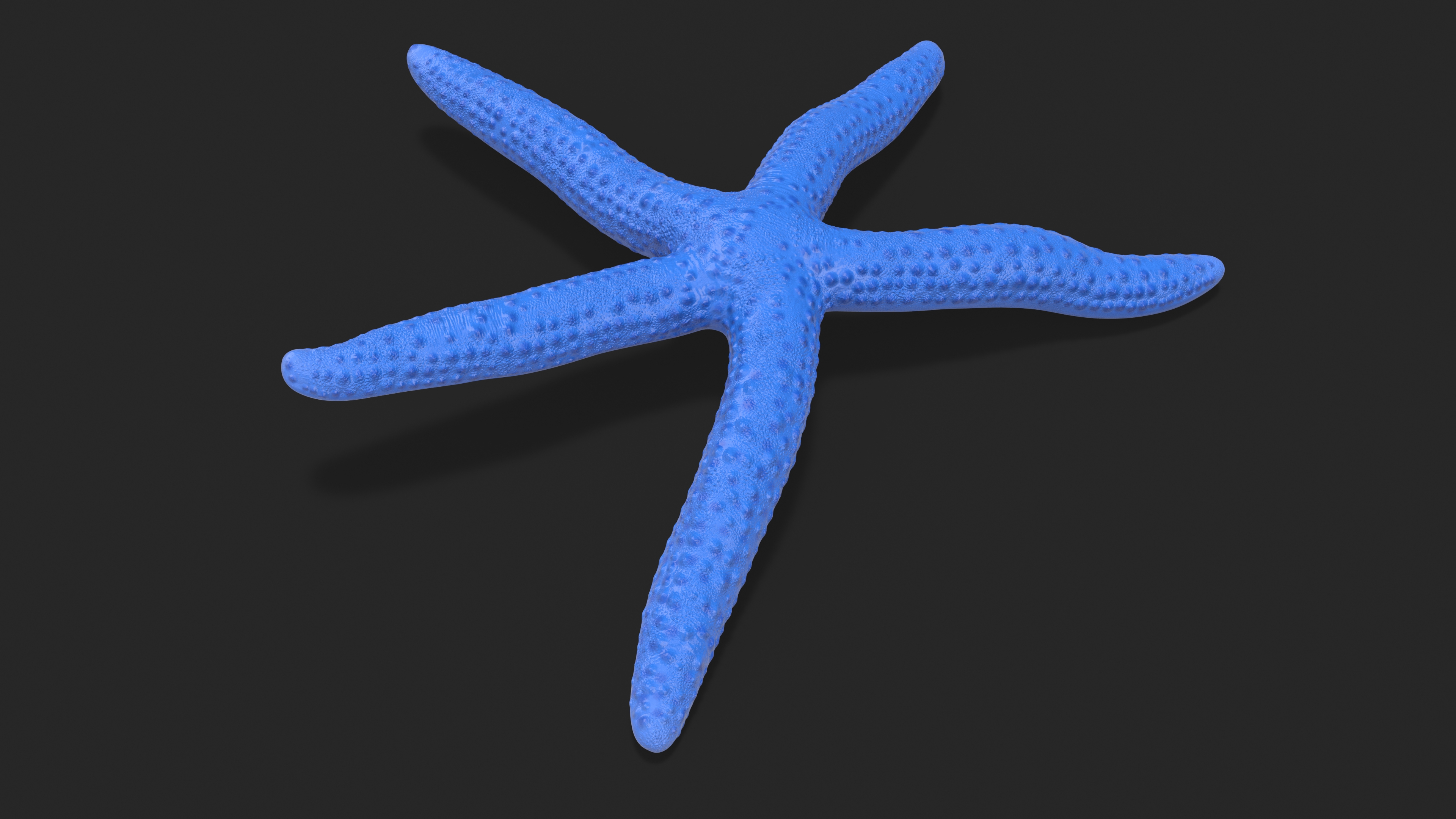 3D Linckia Laevigata Lying Pose model