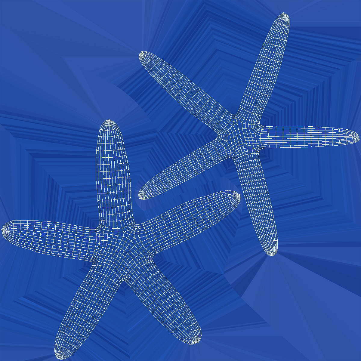 3D Linckia Laevigata Lying Pose model