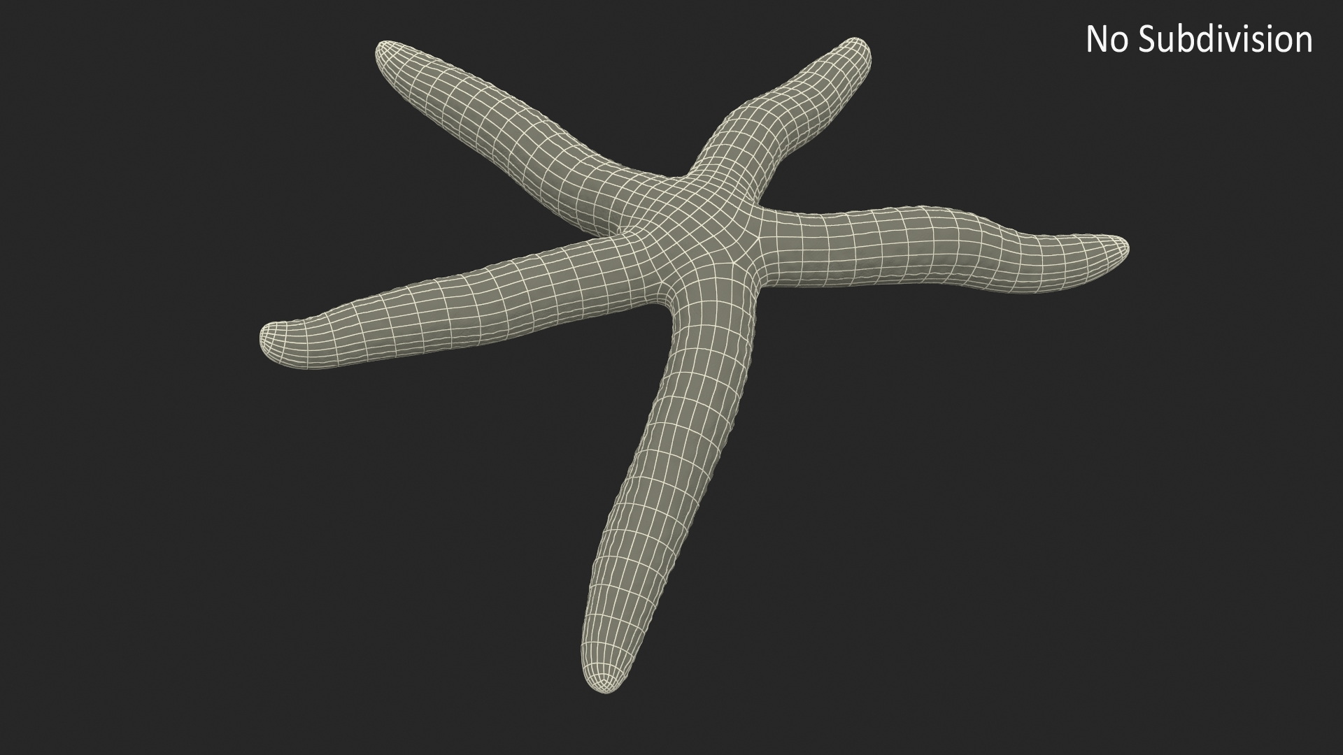 3D Linckia Laevigata Lying Pose model