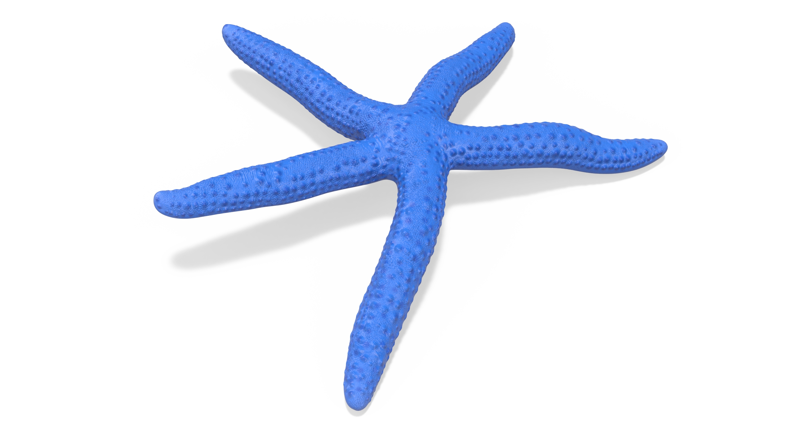 3D Linckia Laevigata Lying Pose model