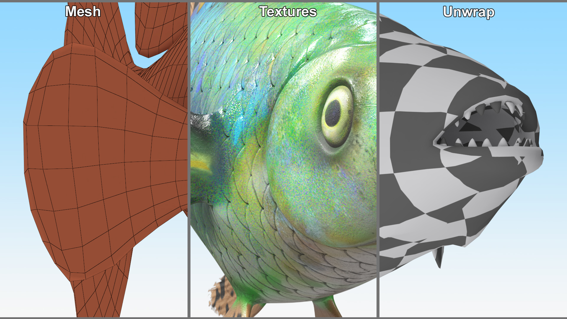 Guppy Fish Red Dragon Rigged for Maya 3D
