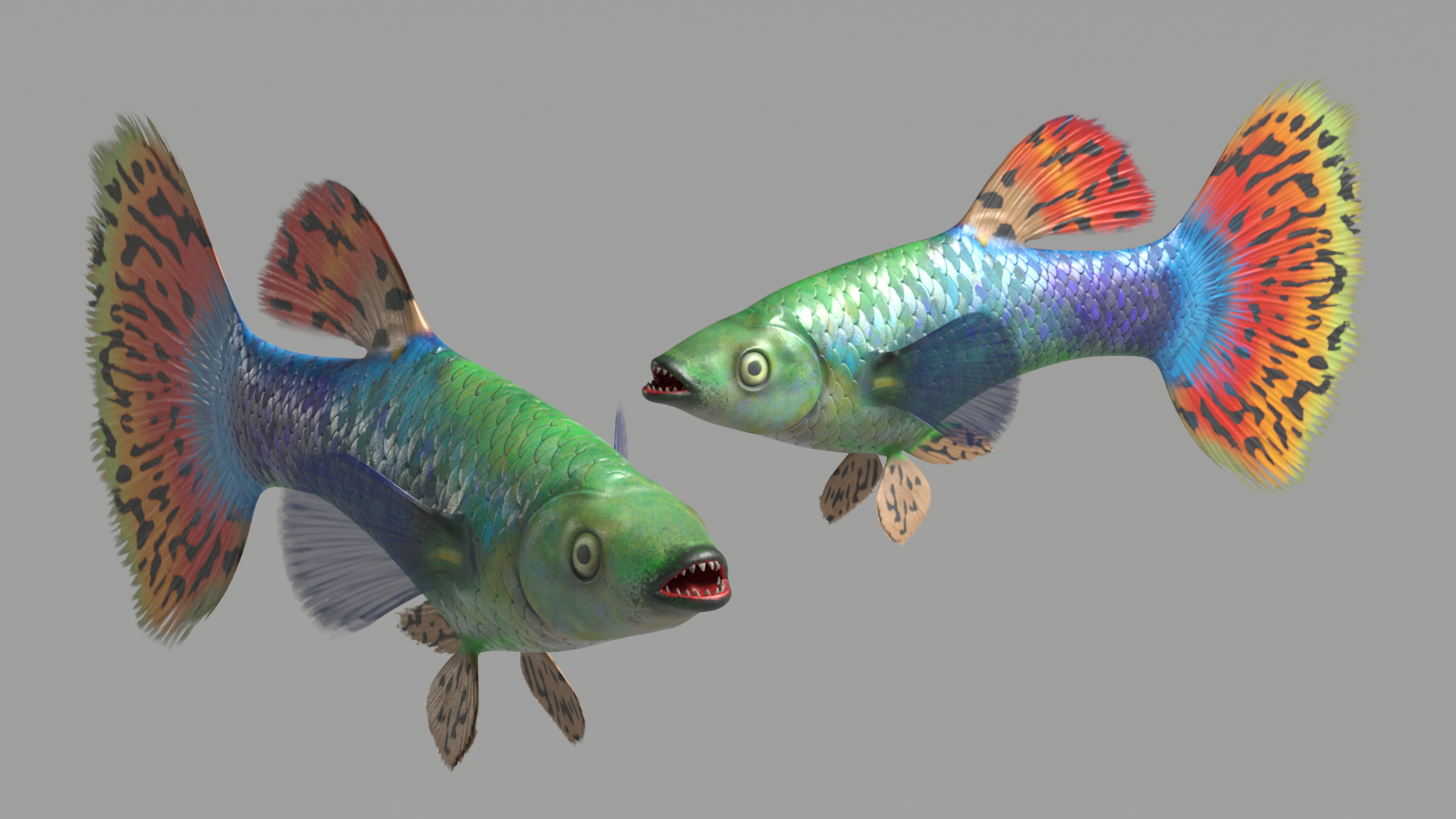 Guppy Fish Red Dragon Rigged for Maya 3D