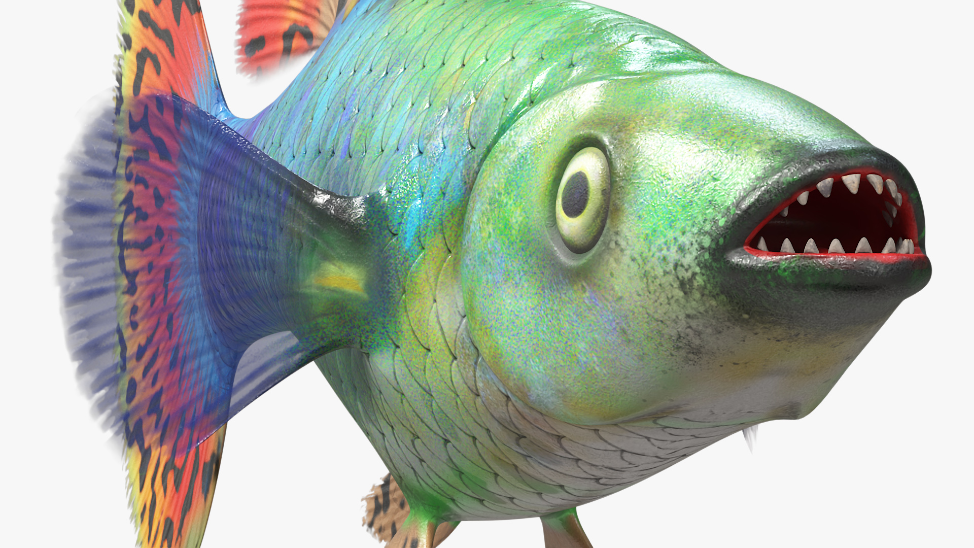 Guppy Fish Red Dragon Rigged for Maya 3D