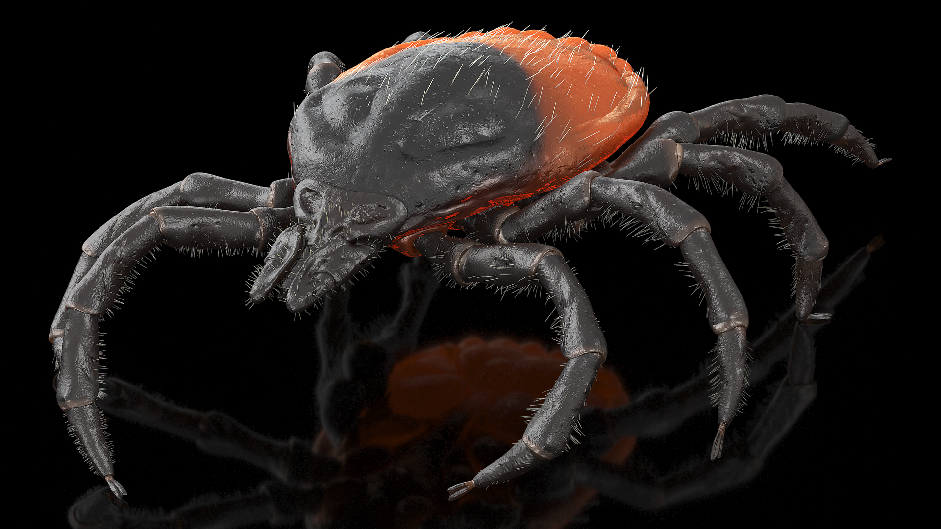 Tick Crawling Pose Fur 3D