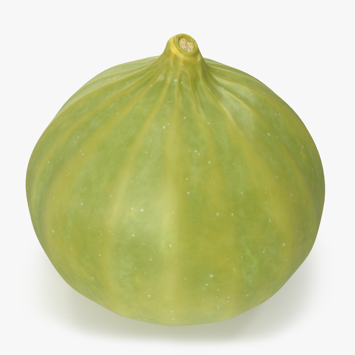 Green Fig Fruit, view 4