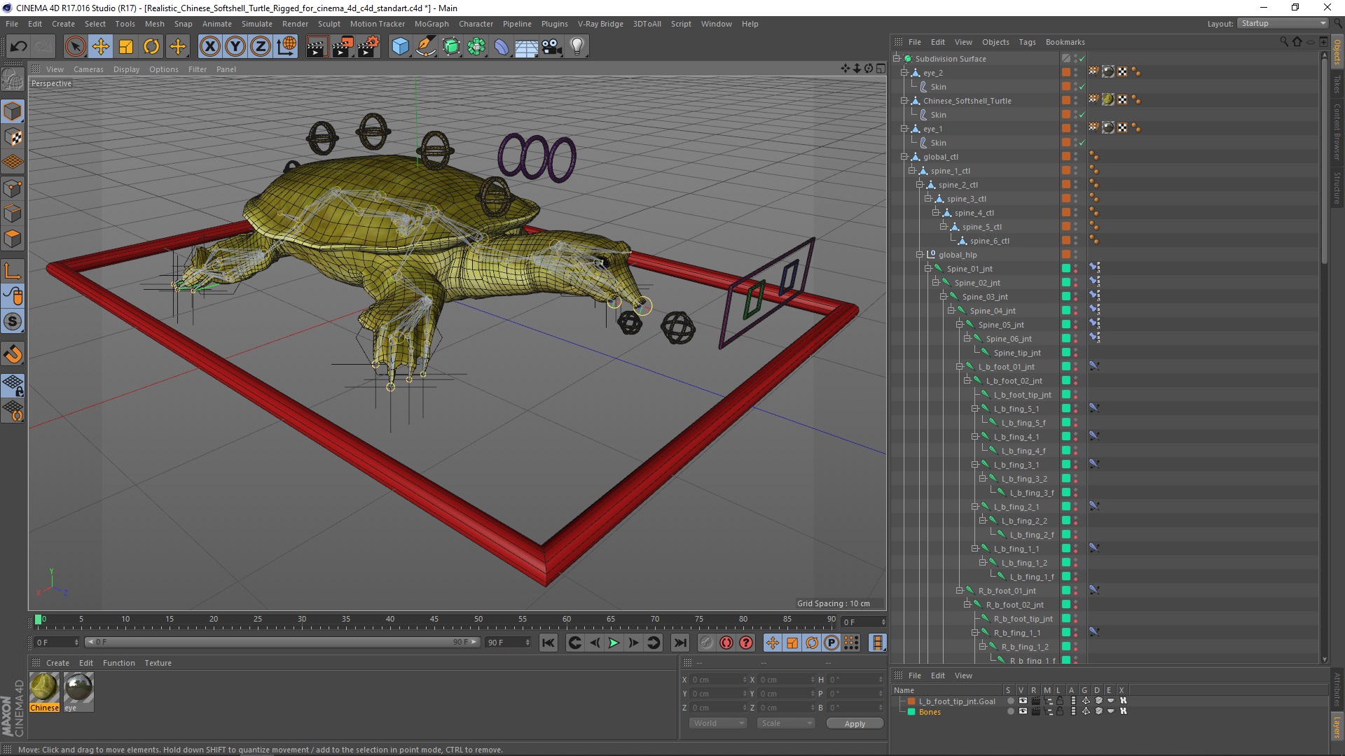 3D model Realistic Chinese Softshell Turtle Rigged for Cinema 4D
