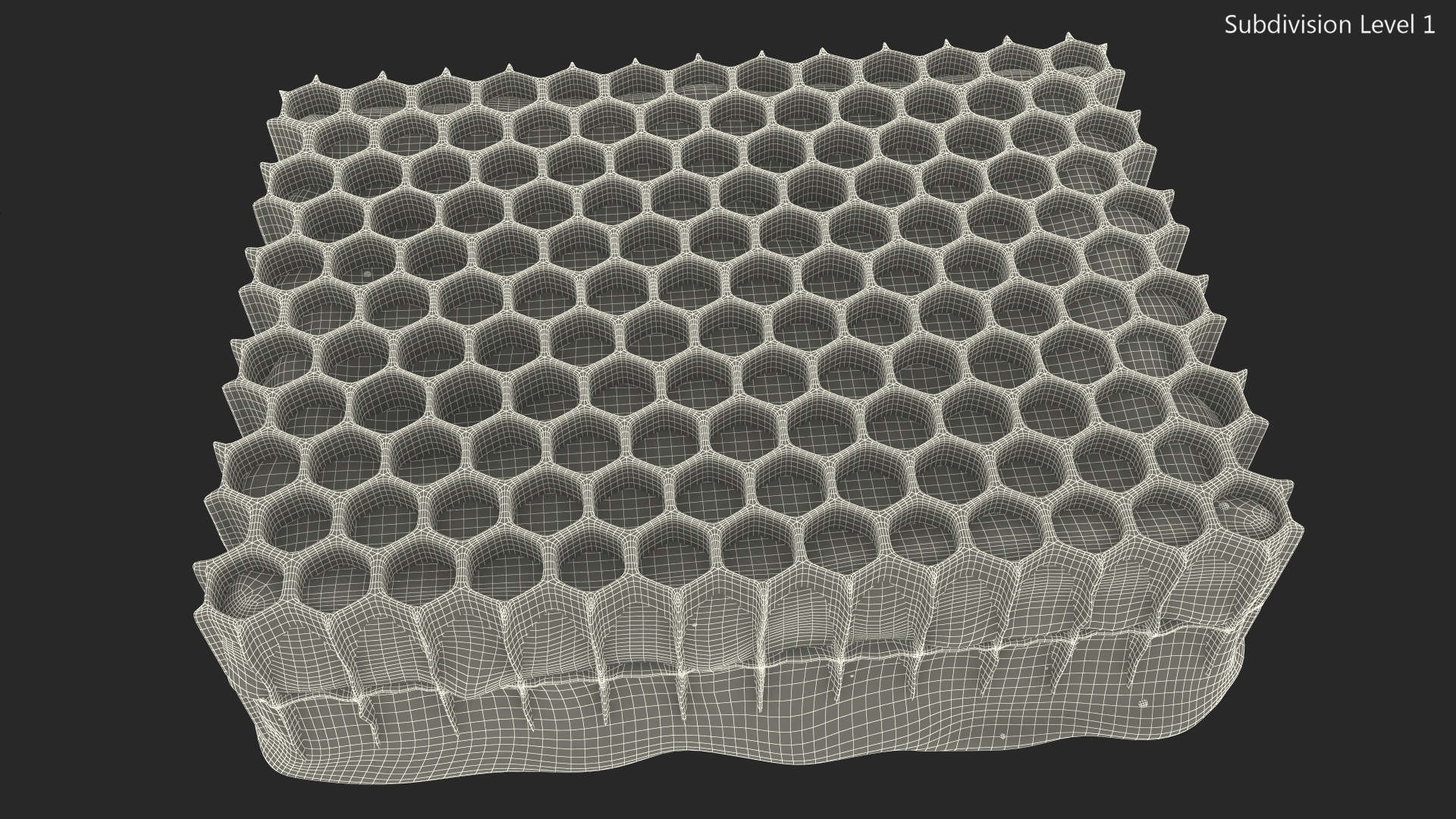 3D Raw Honeycomb model