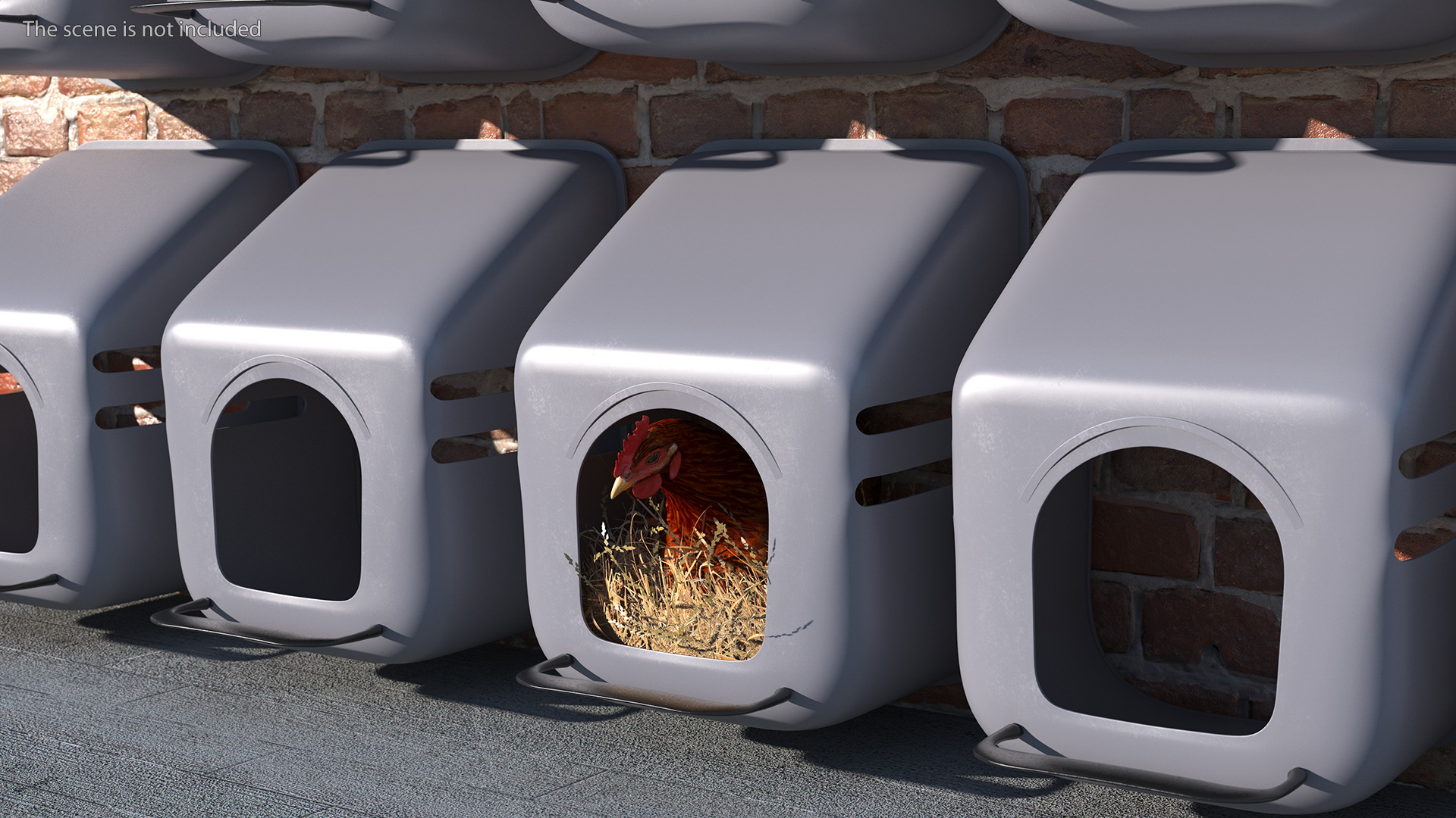 3D Chicken in Wall Mount Nesting Nest Box model