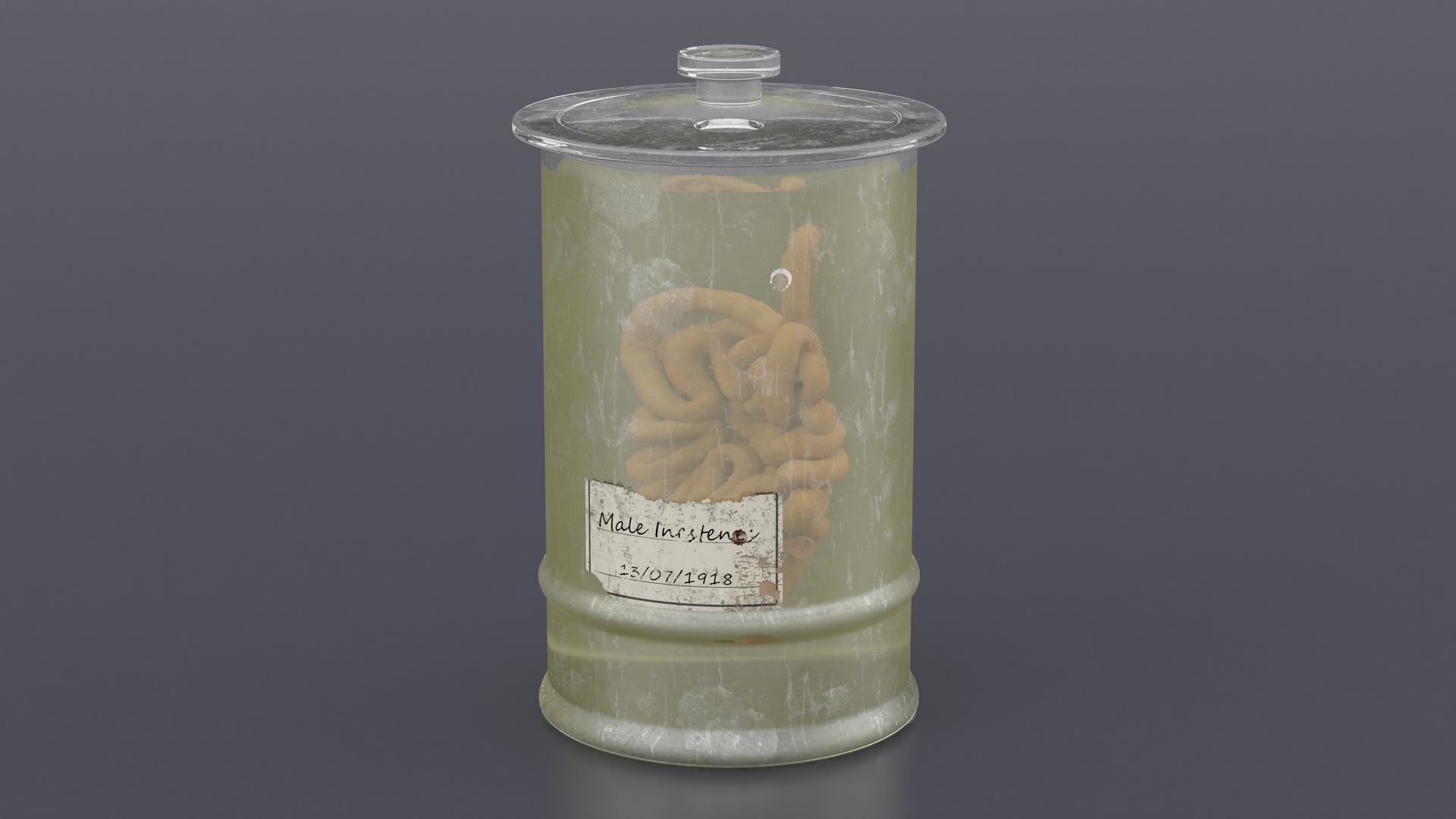 3D Human Small Intestine in Old Glass Jar model