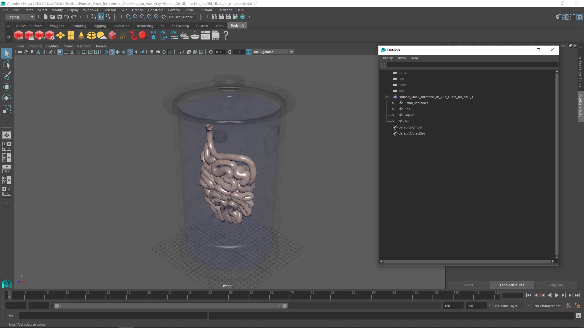 3D Human Small Intestine in Old Glass Jar model