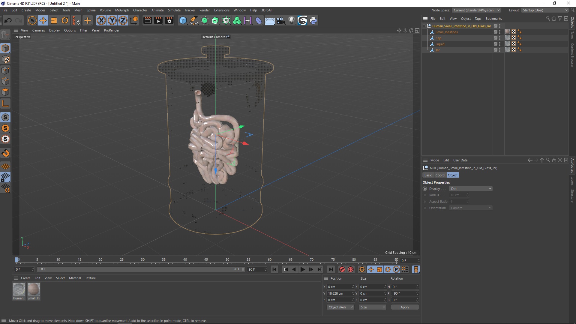 3D Human Small Intestine in Old Glass Jar model