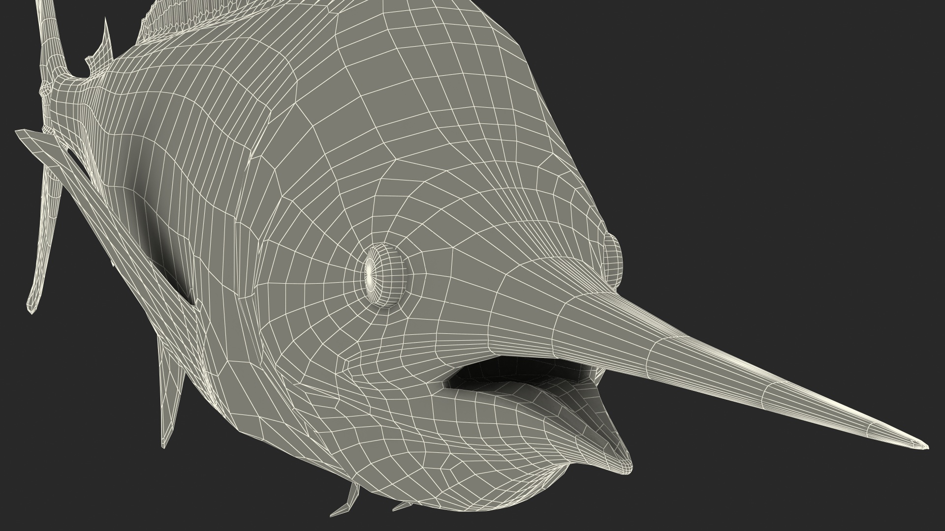 White Marlin Fish 3D