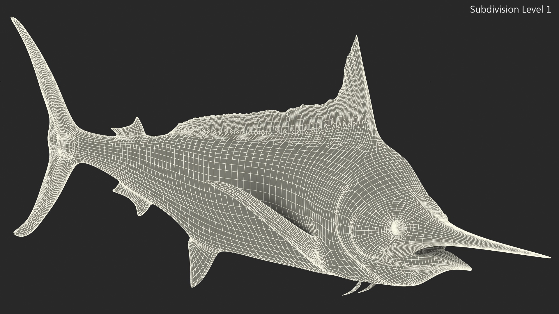 White Marlin Fish 3D