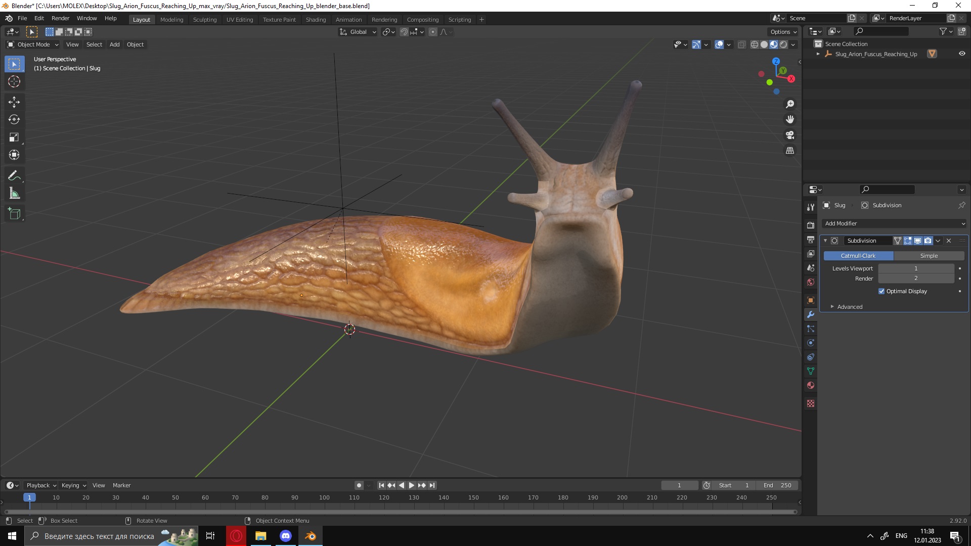 Slug Arion Fuscus Reaching Up 3D model