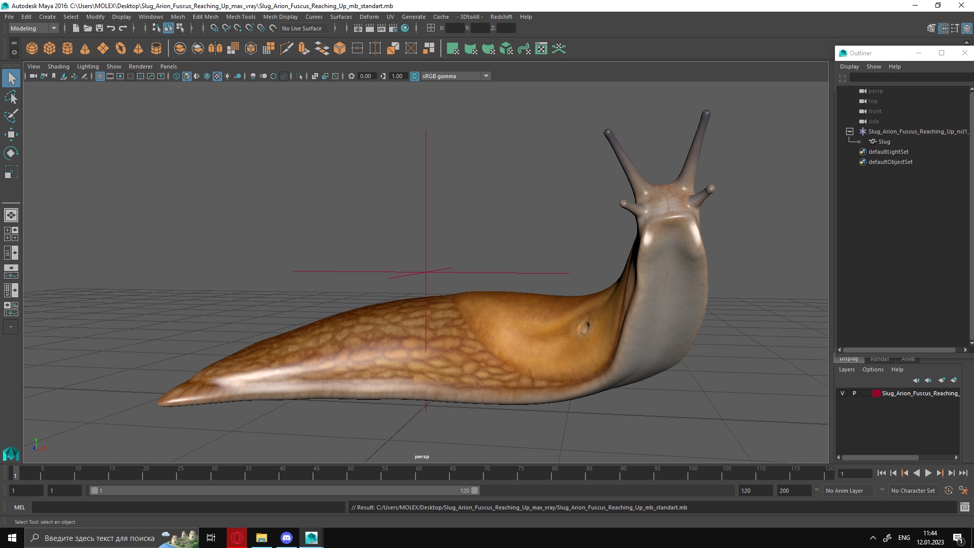 Slug Arion Fuscus Reaching Up 3D model