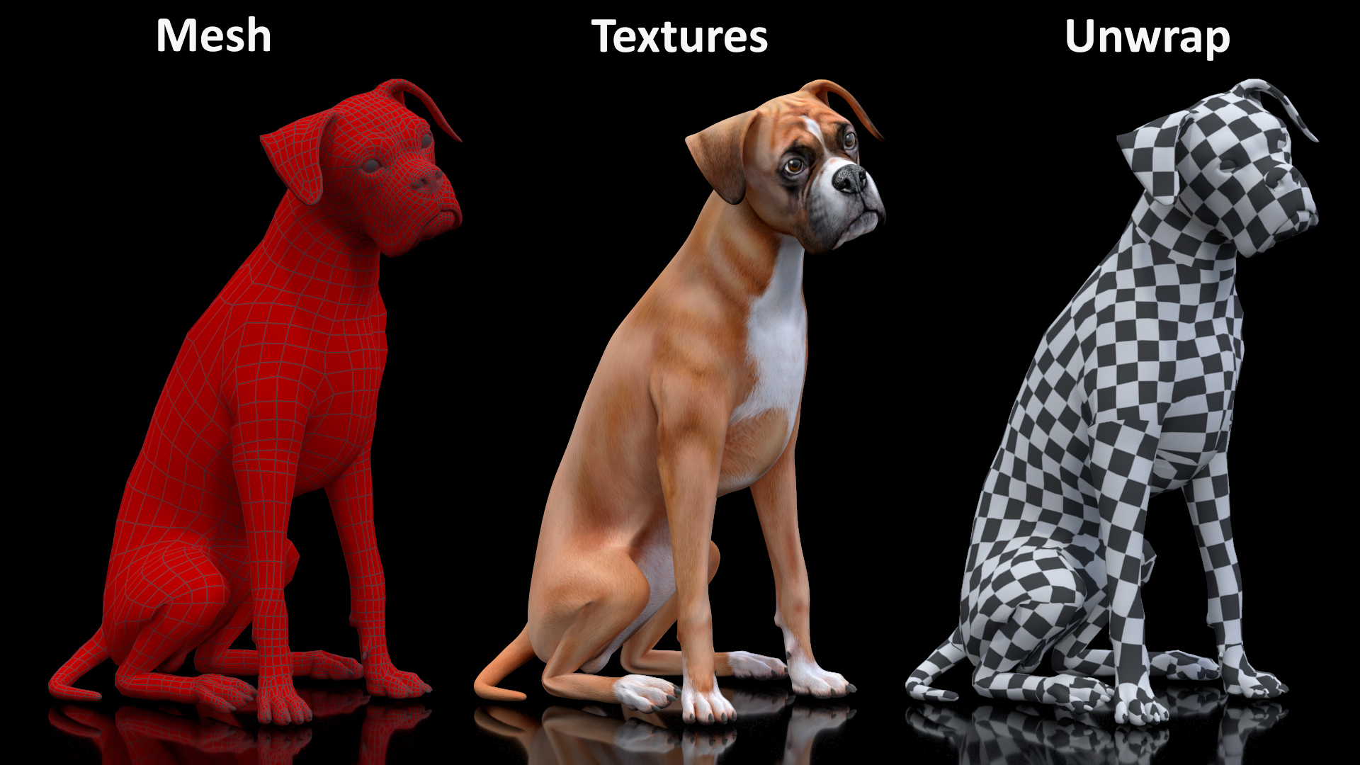 3D model Sitting Dog Boxer for 3D Print