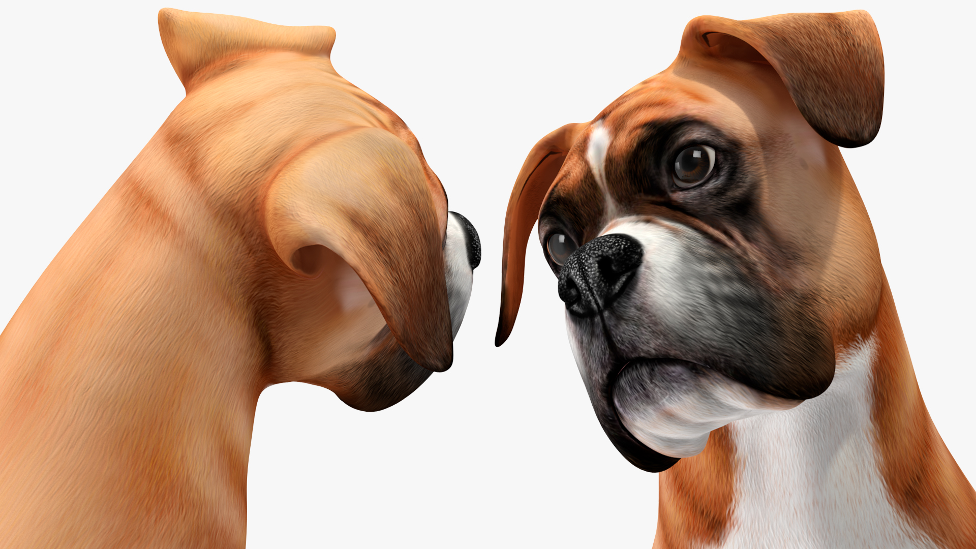 3D model Sitting Dog Boxer for 3D Print
