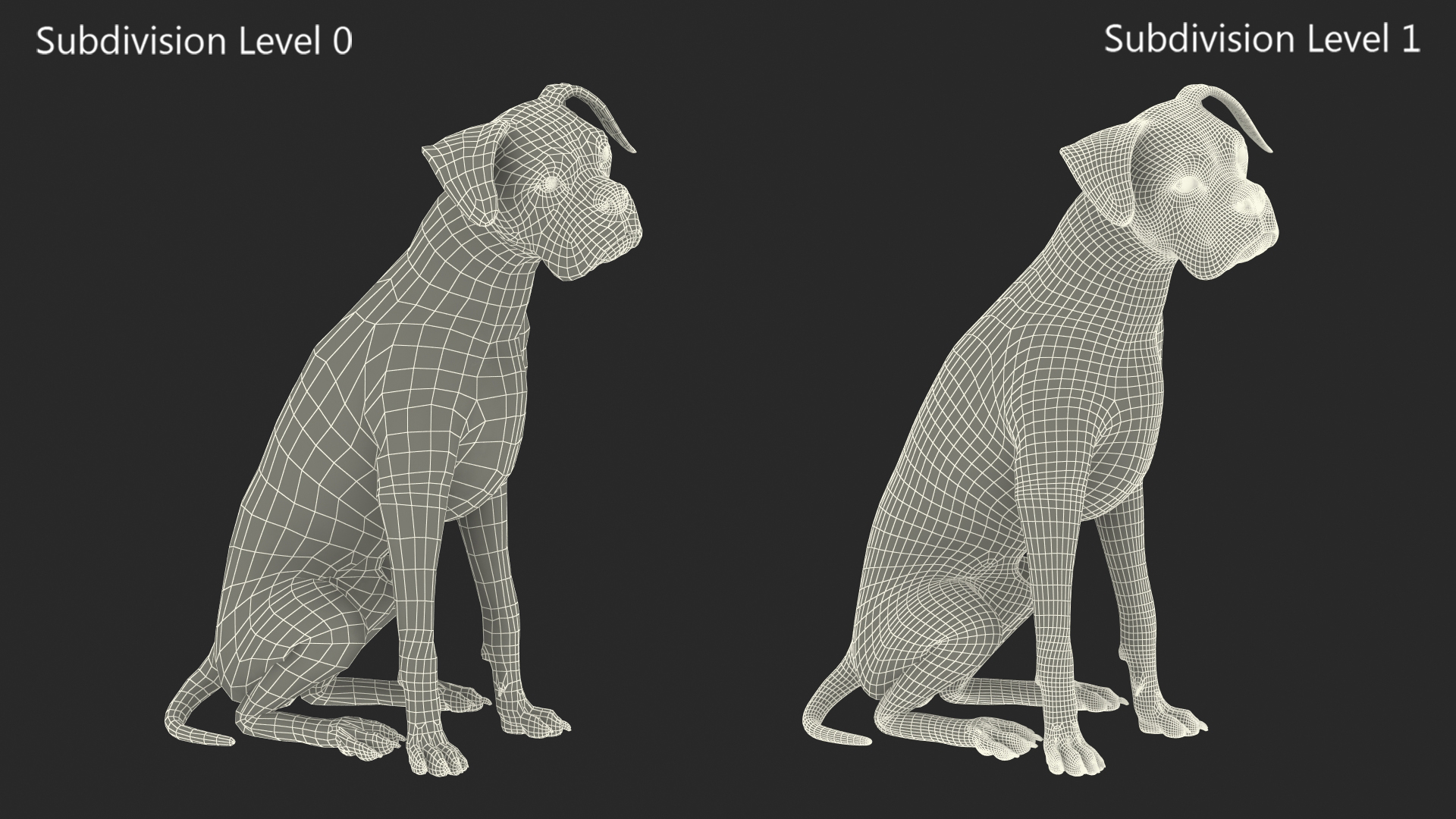 3D model Sitting Dog Boxer for 3D Print
