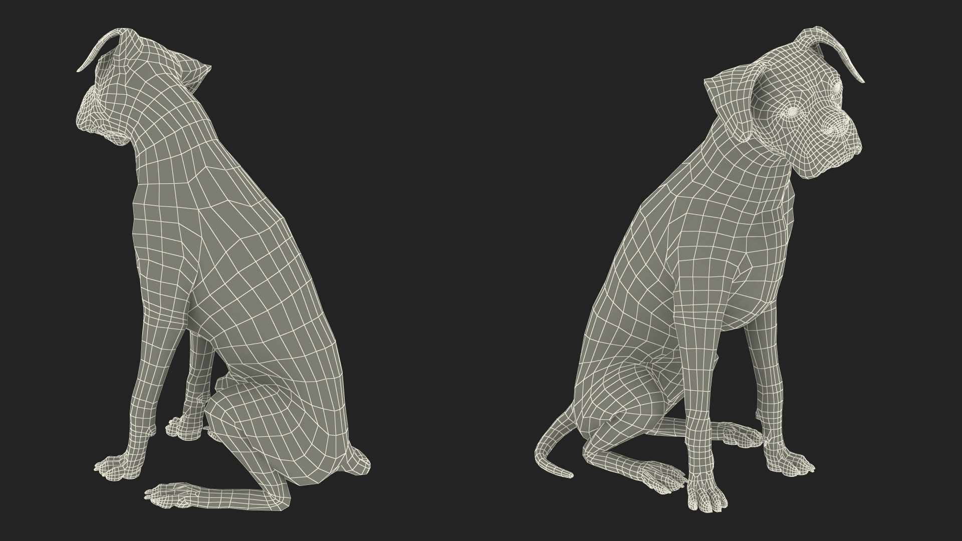 3D model Sitting Dog Boxer for 3D Print