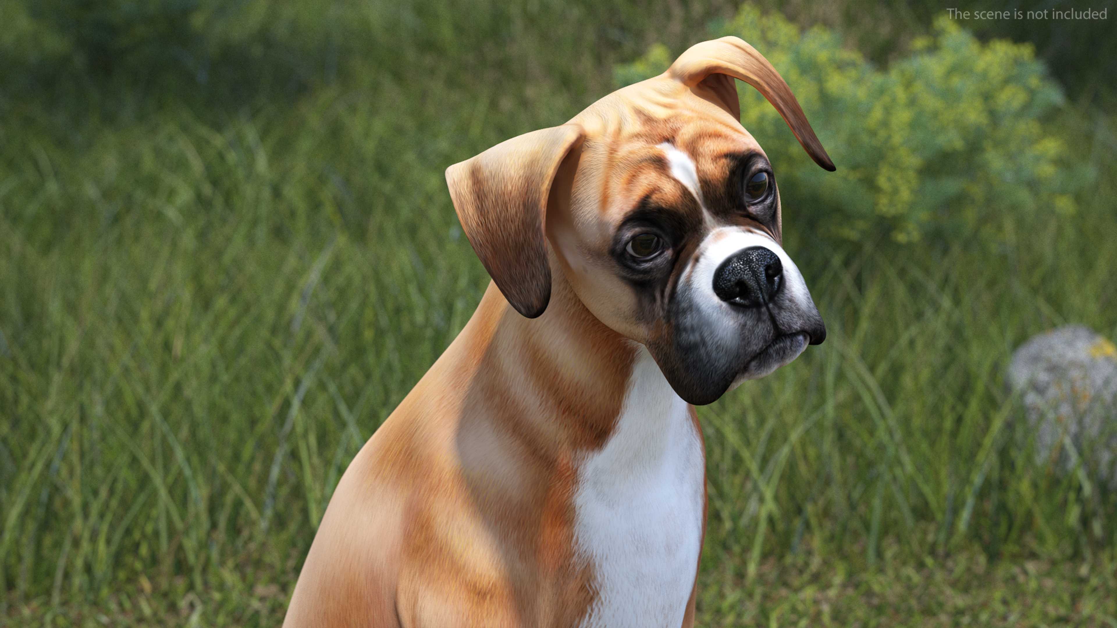 3D model Sitting Dog Boxer for 3D Print