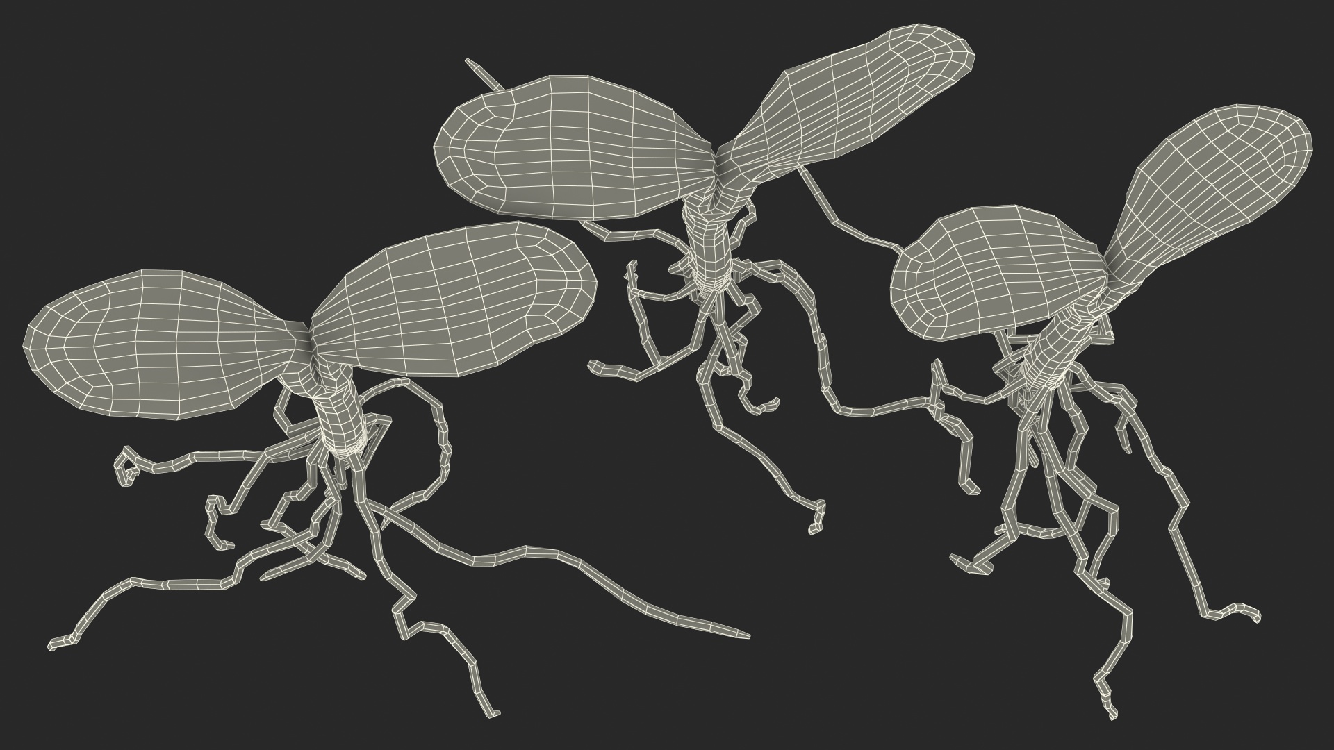 3D Sprout Roots Set