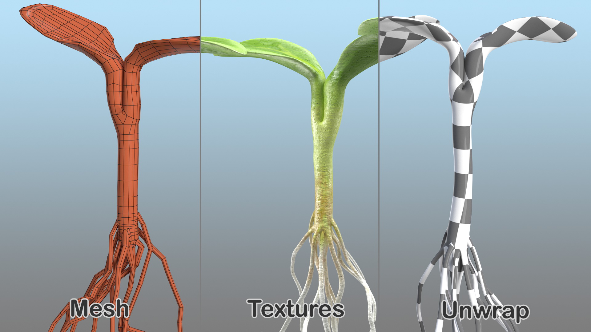 3D Sprout Roots Set