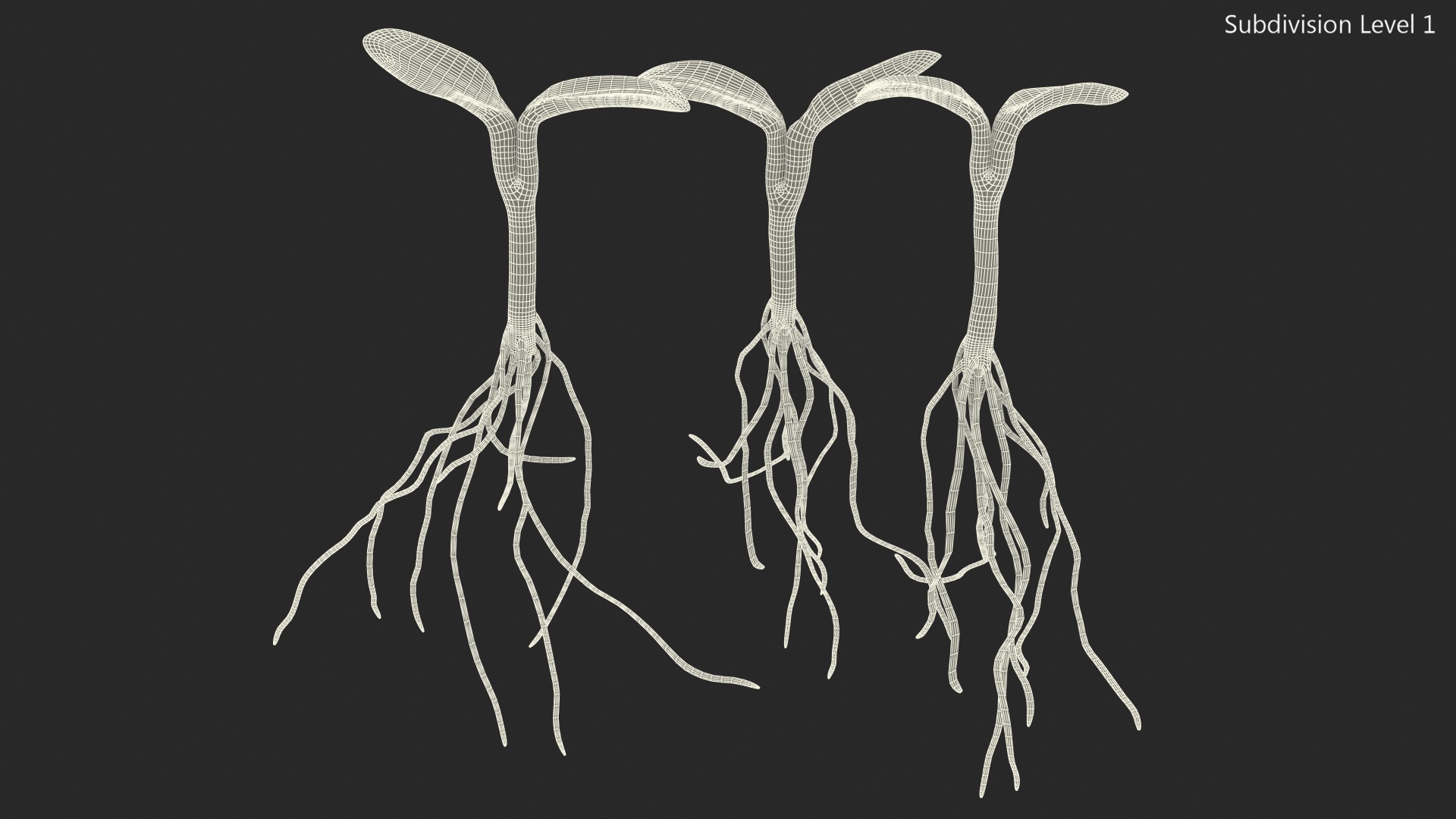3D Sprout Roots Set