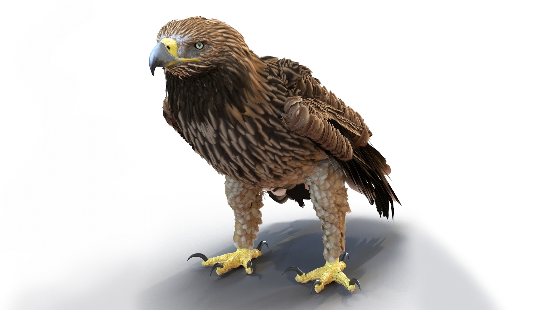 3D Realistic Imperial Eagle Rigged