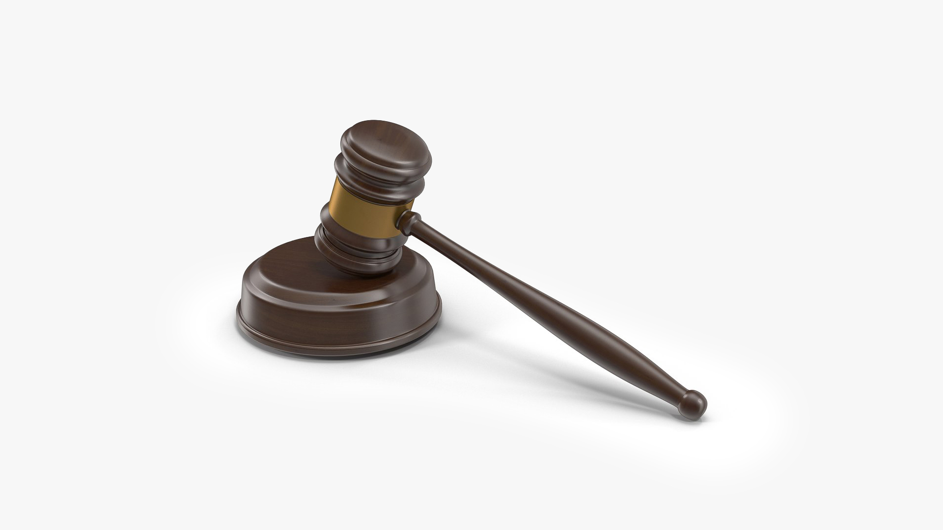 Judge Rigged 3D