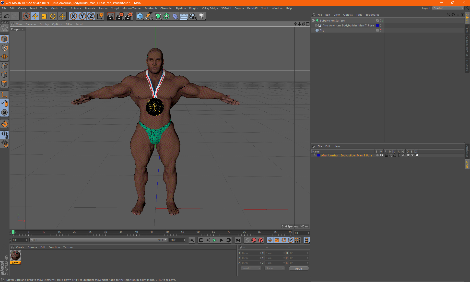 3D Afro American Bodybuilder Man T-Pose