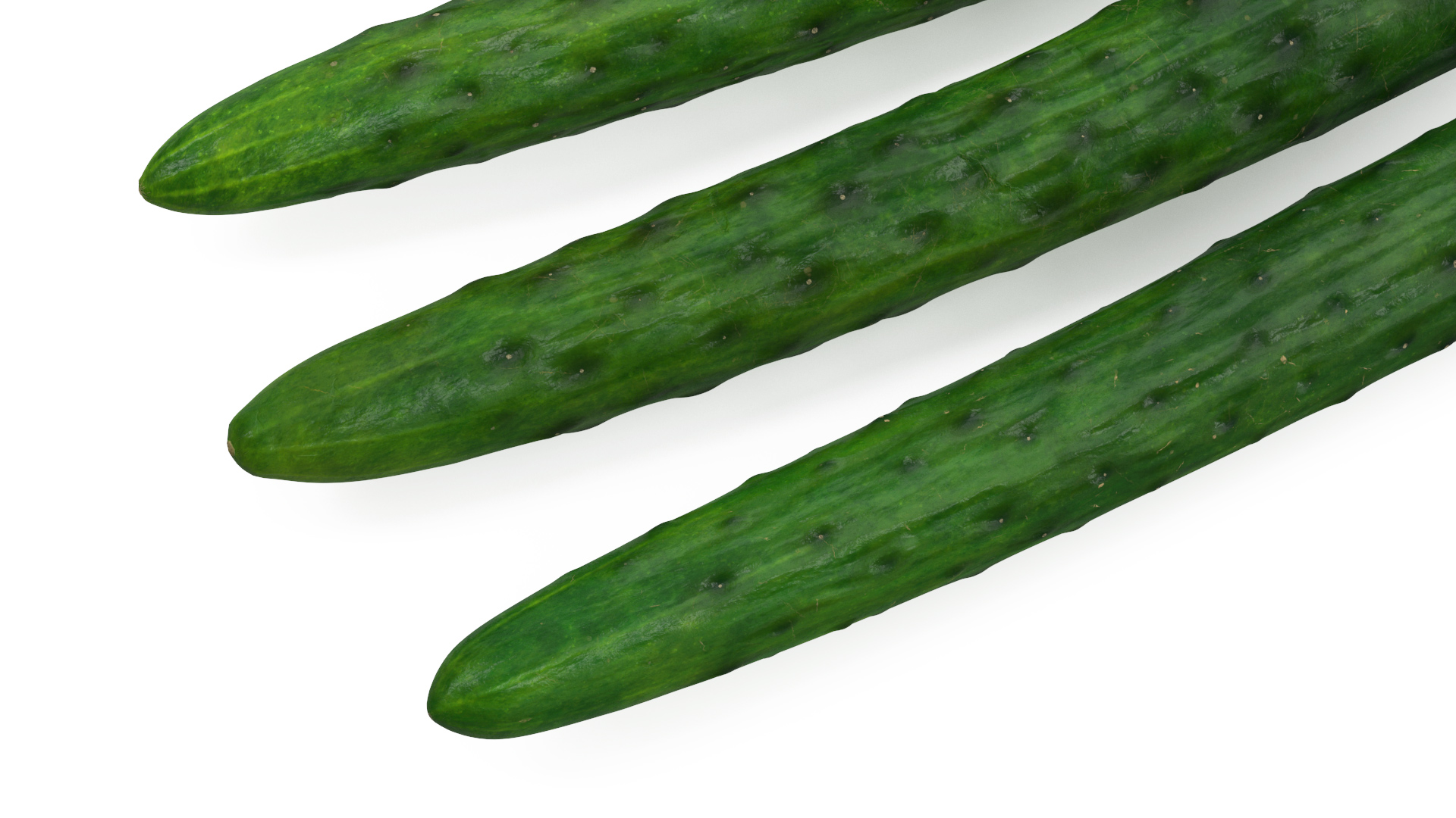 3D Japanese Cucumbers model