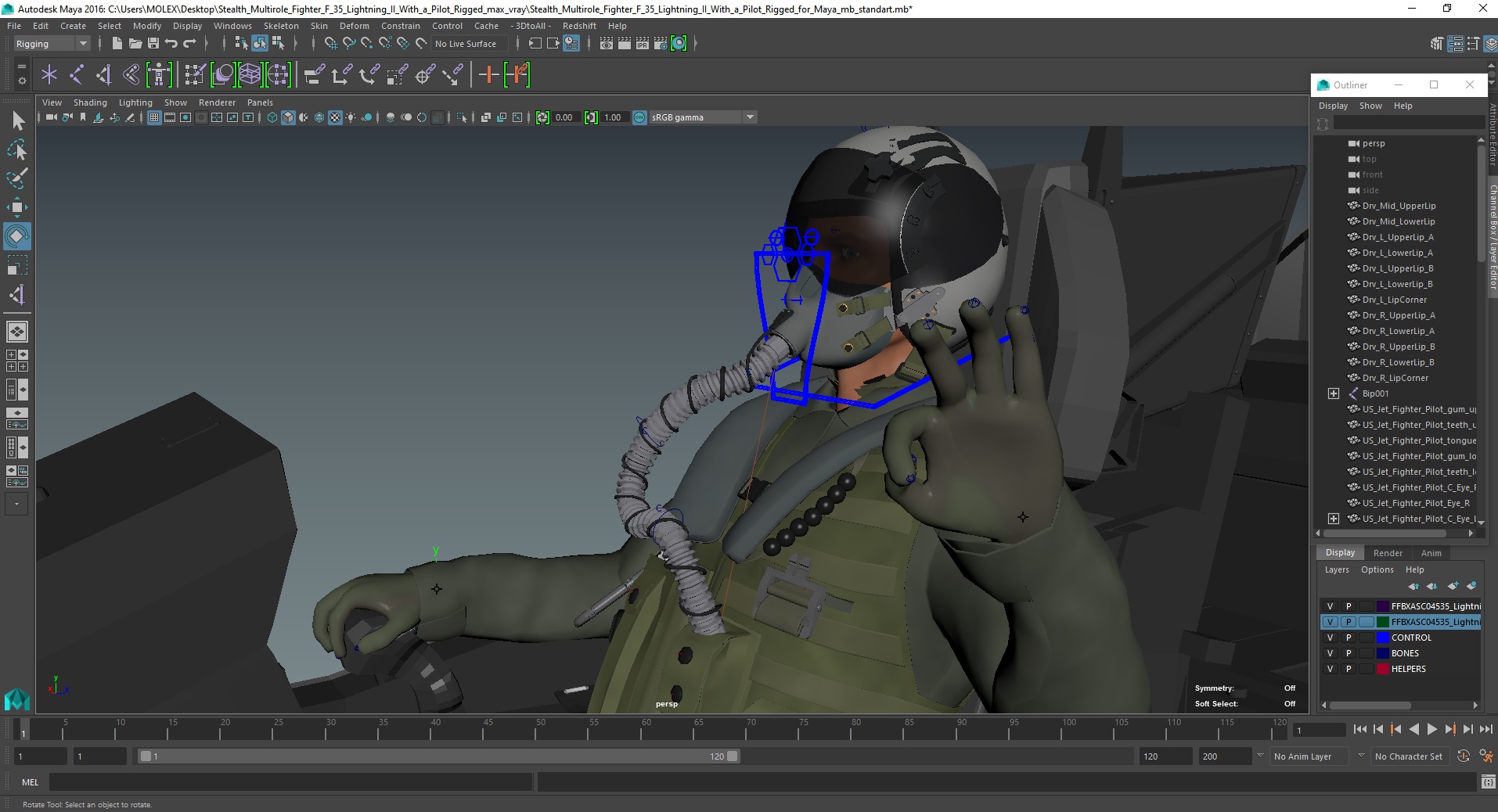 Stealth Multirole Fighter F 35 Lightning II With a Pilot Rigged for Maya 3D