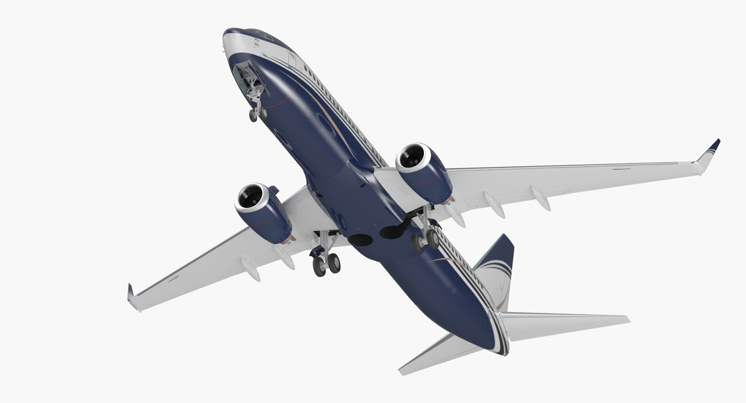 Boeing 737 800 Generic Rigged 3D model