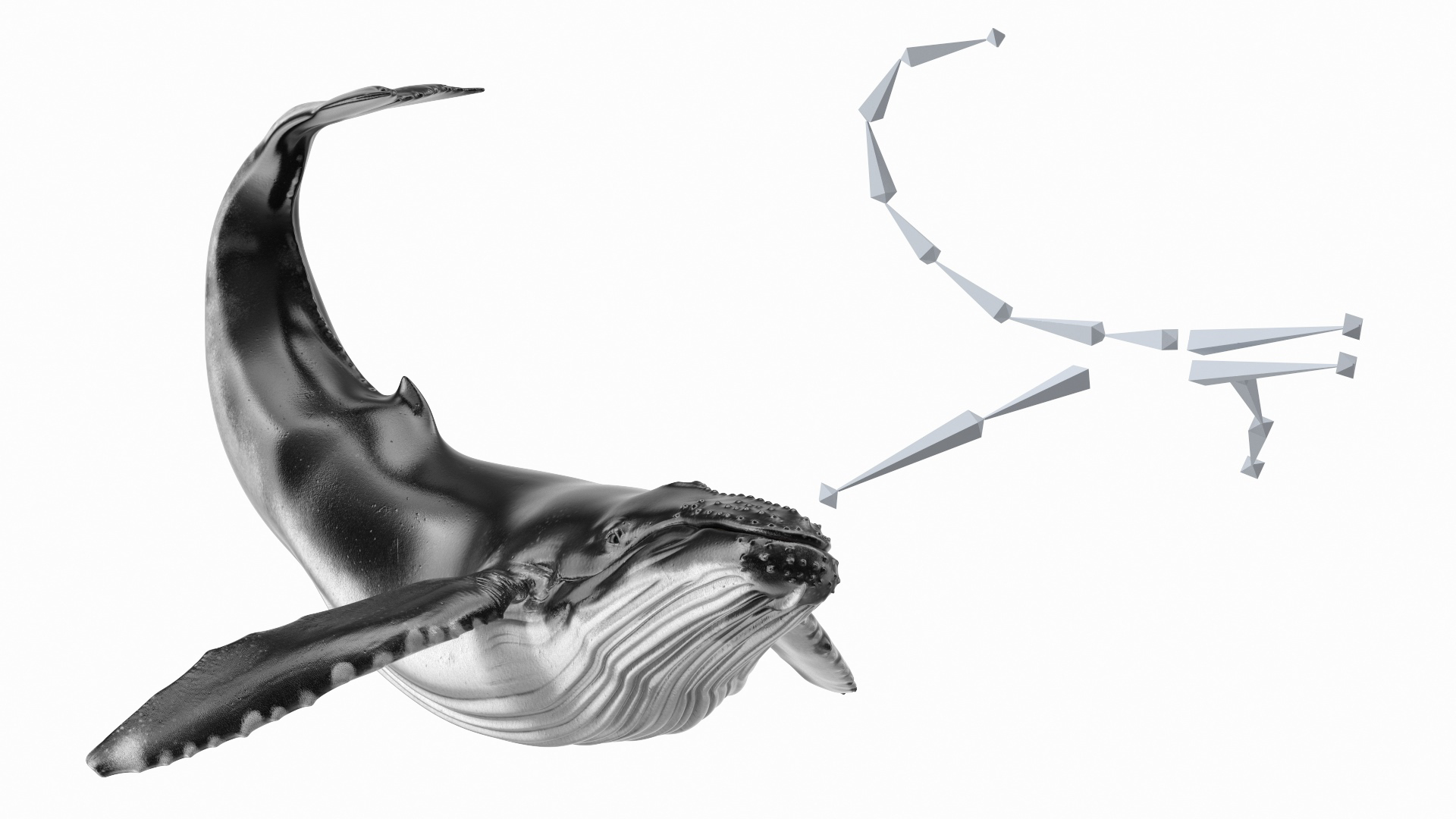 3D Realistic Humpback Whale Rigged