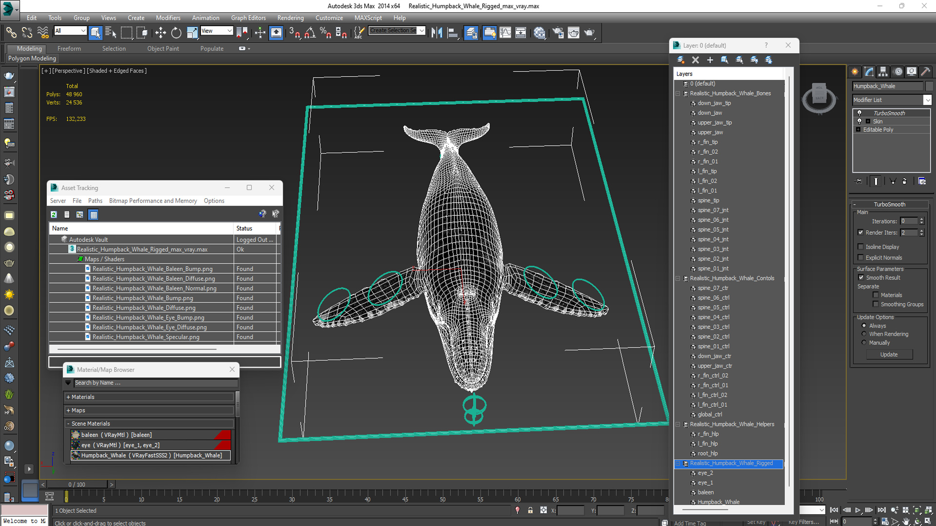 3D Realistic Humpback Whale Rigged