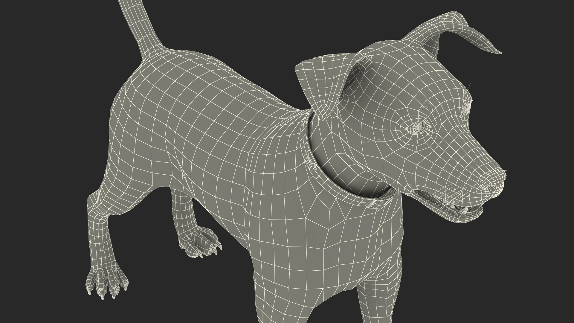Spotted Jack Russell Terrier Fur Rigged 3D model