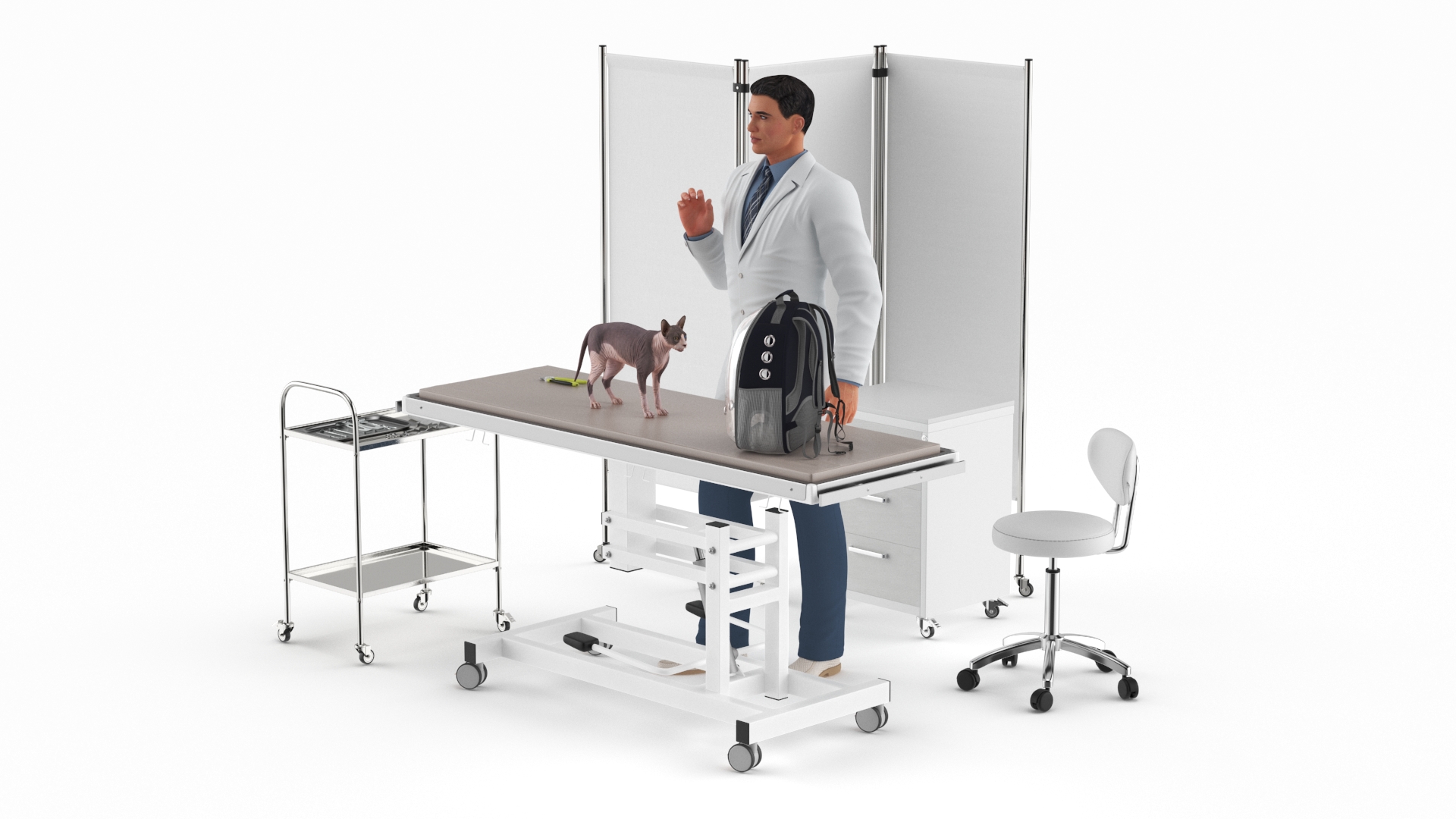 3D Pet Clinic Healthcare