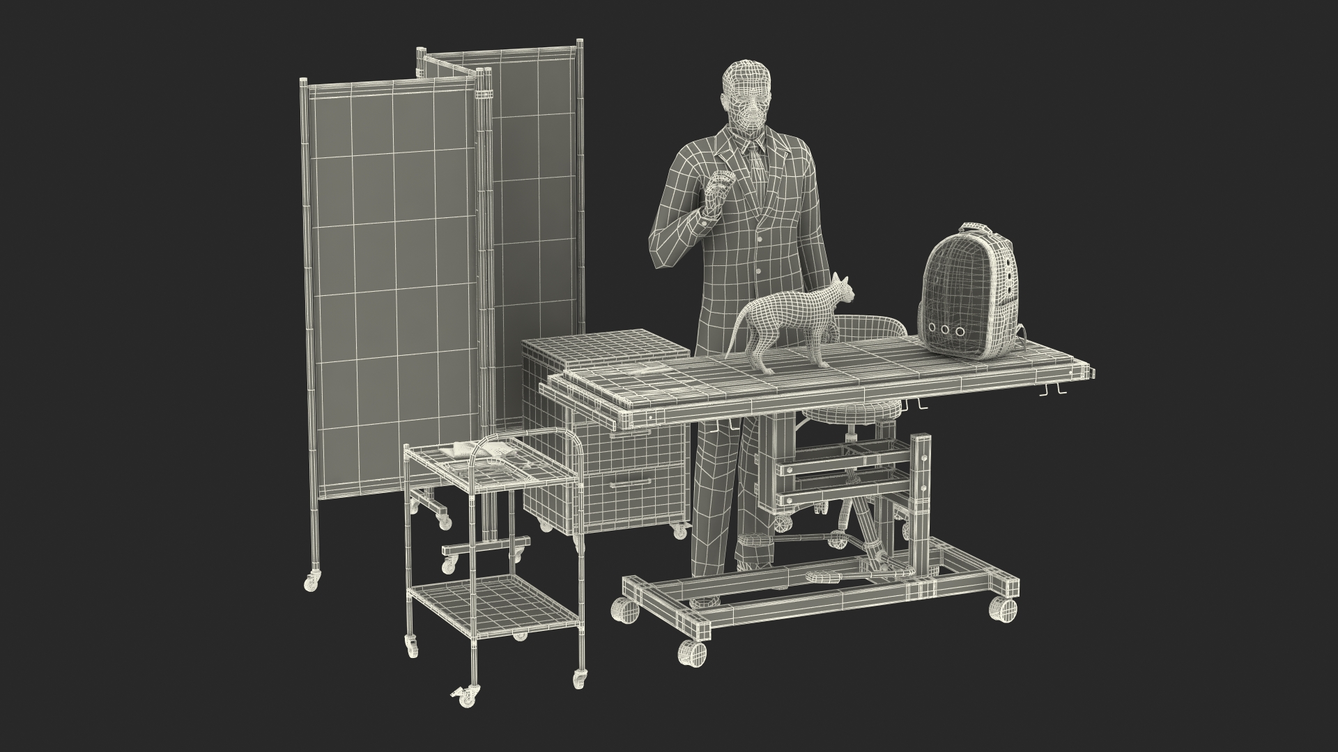 3D Pet Clinic Healthcare