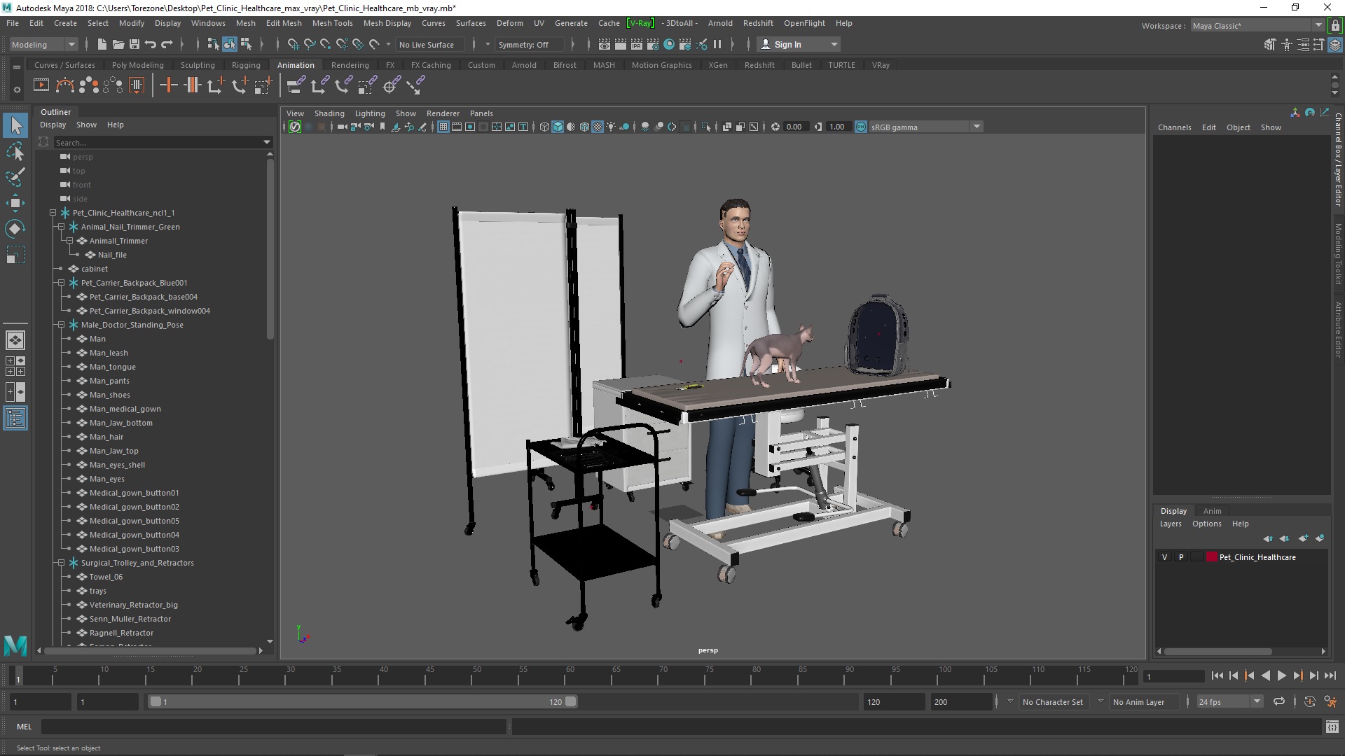 3D Pet Clinic Healthcare