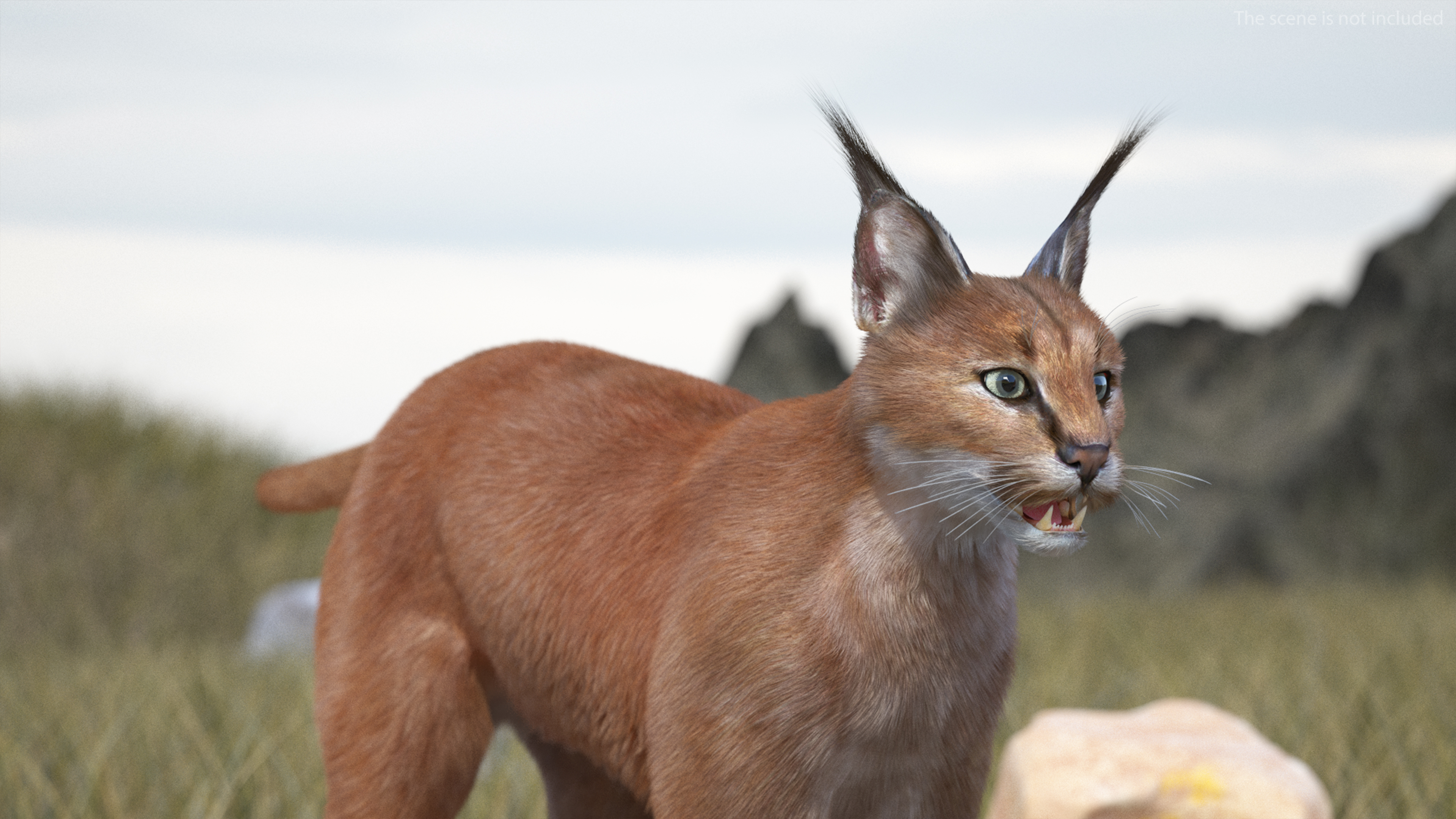 3D Caracal Fur