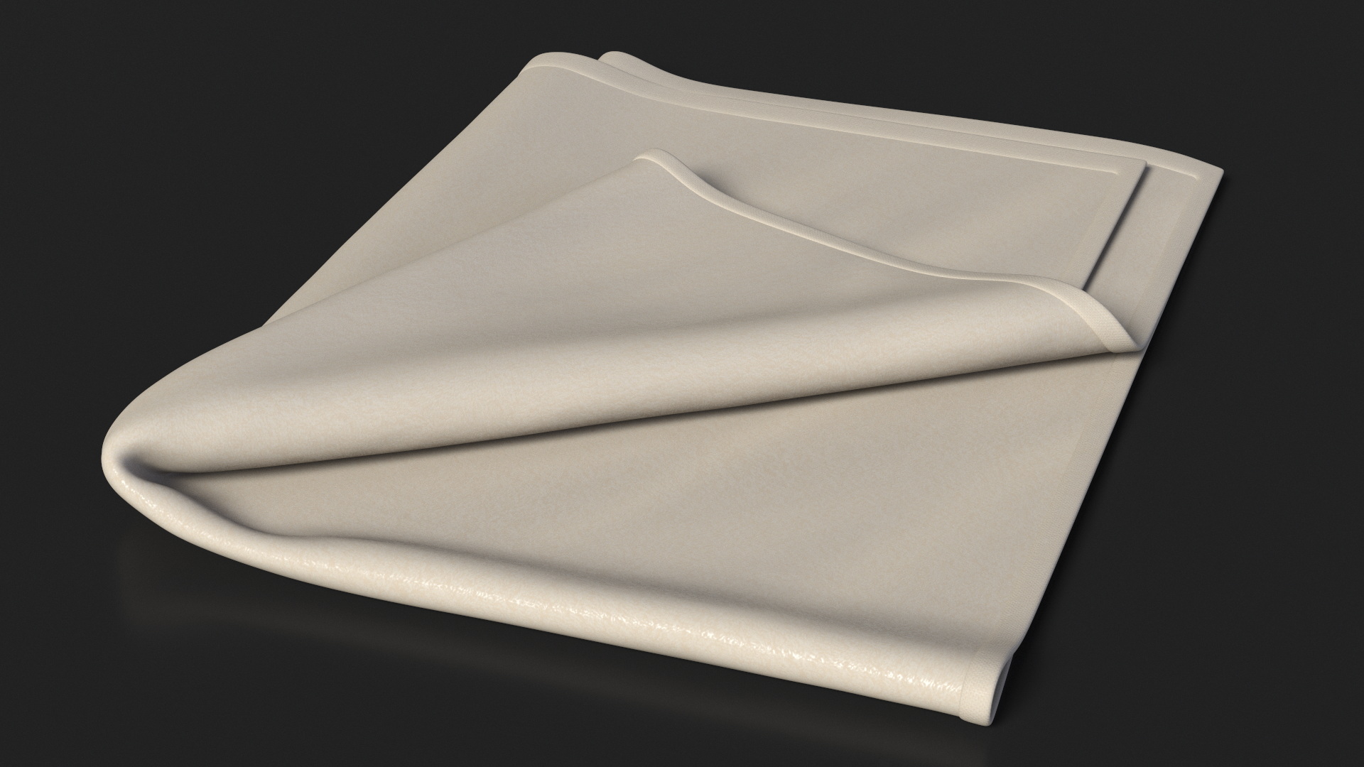 Folded Bath Towel 3D