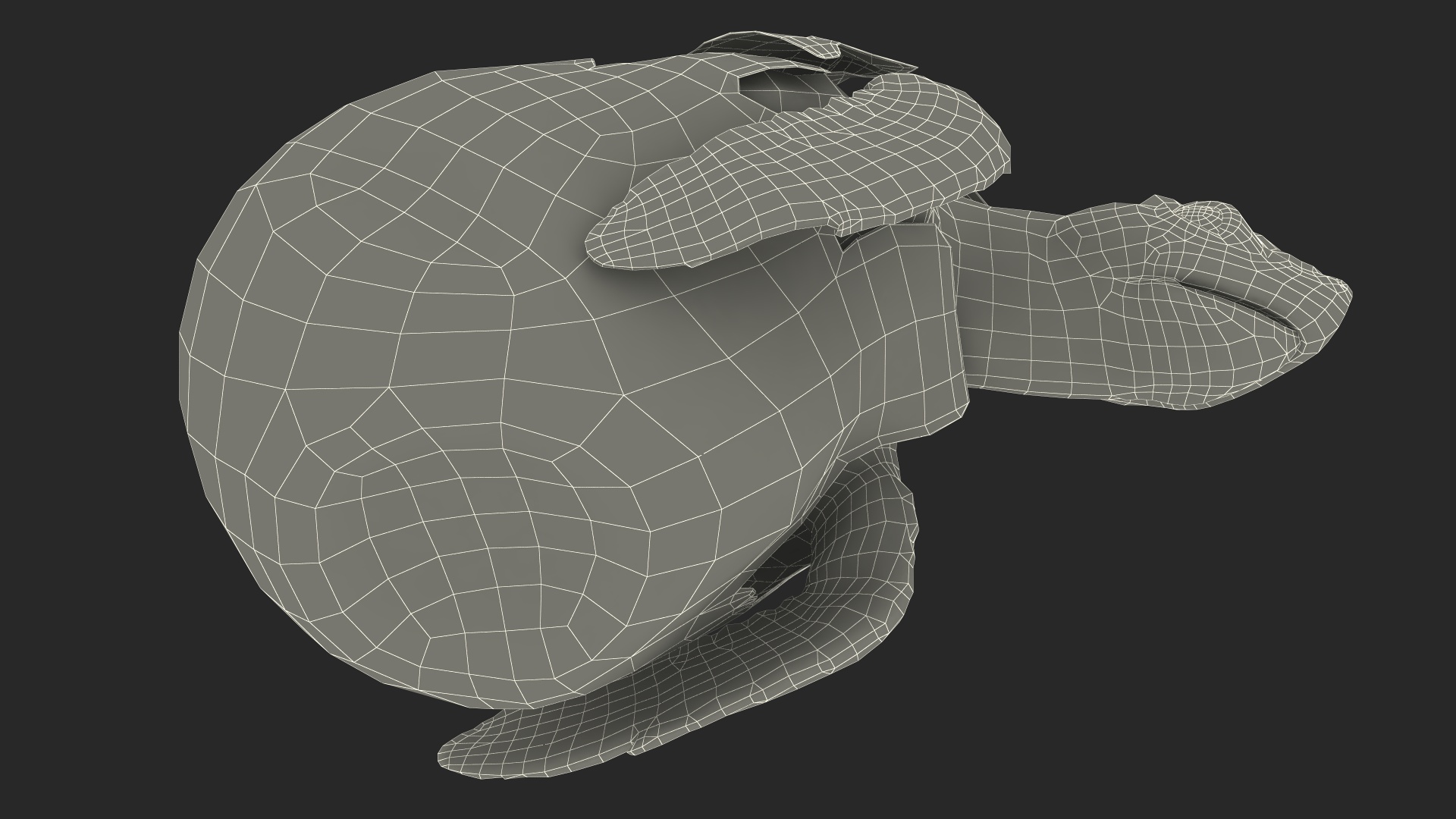3D Sea Turtle Hatchling Emerging from Egg model