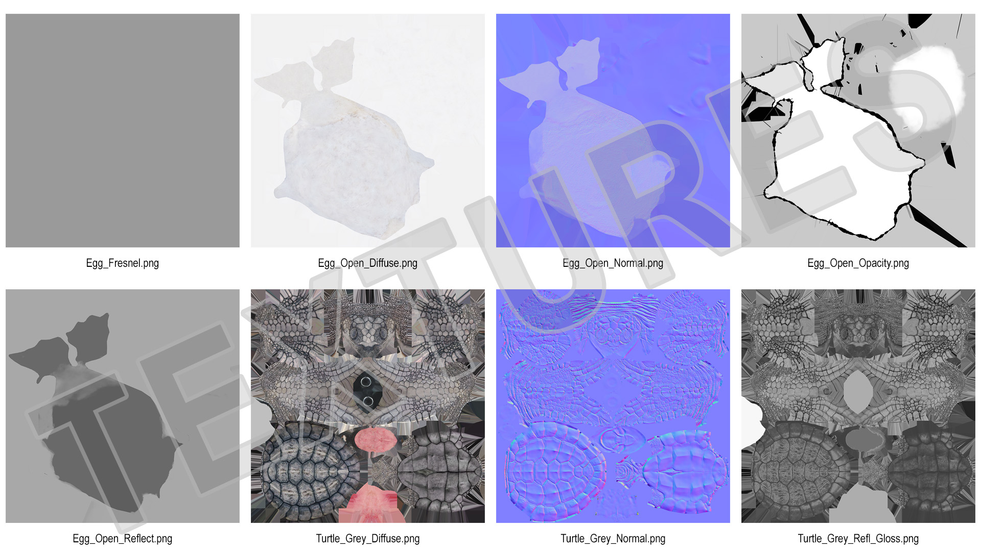 3D Sea Turtle Hatchling Emerging from Egg model