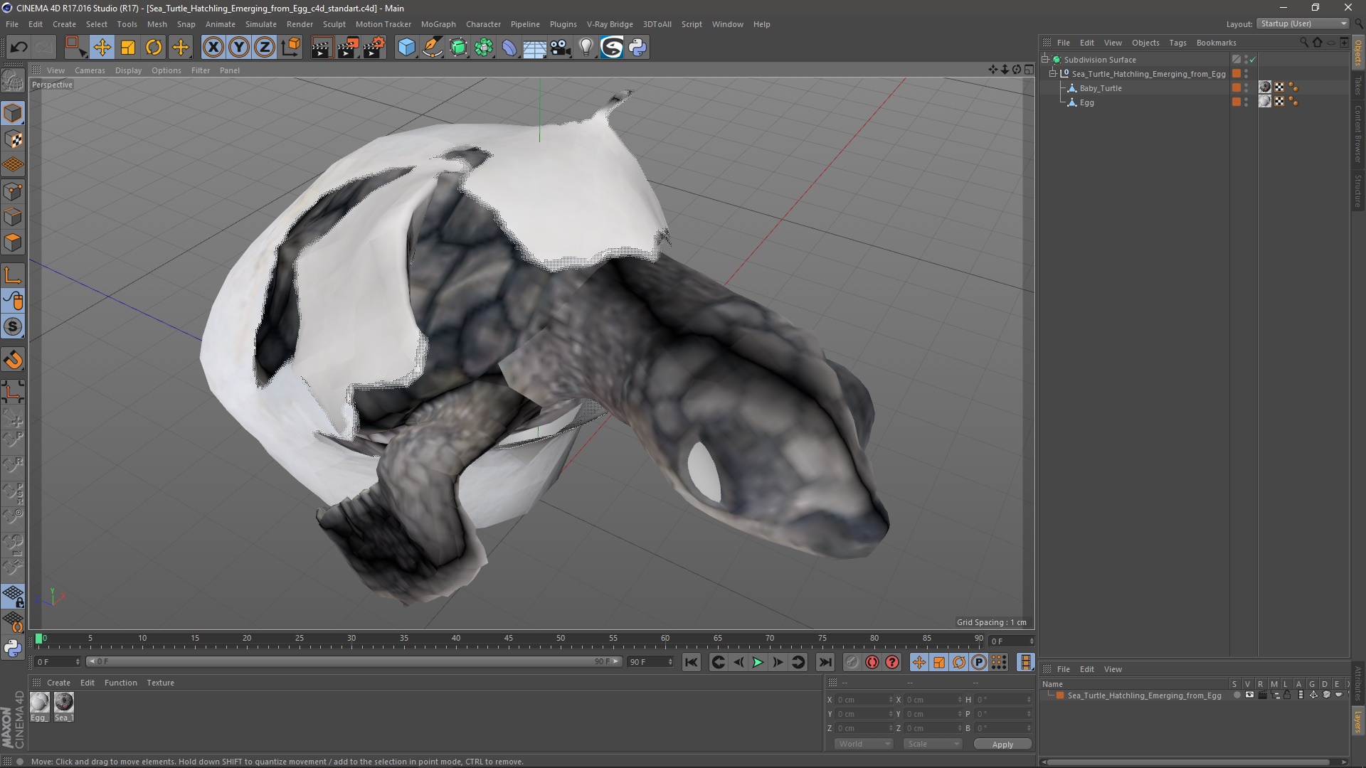 3D Sea Turtle Hatchling Emerging from Egg model