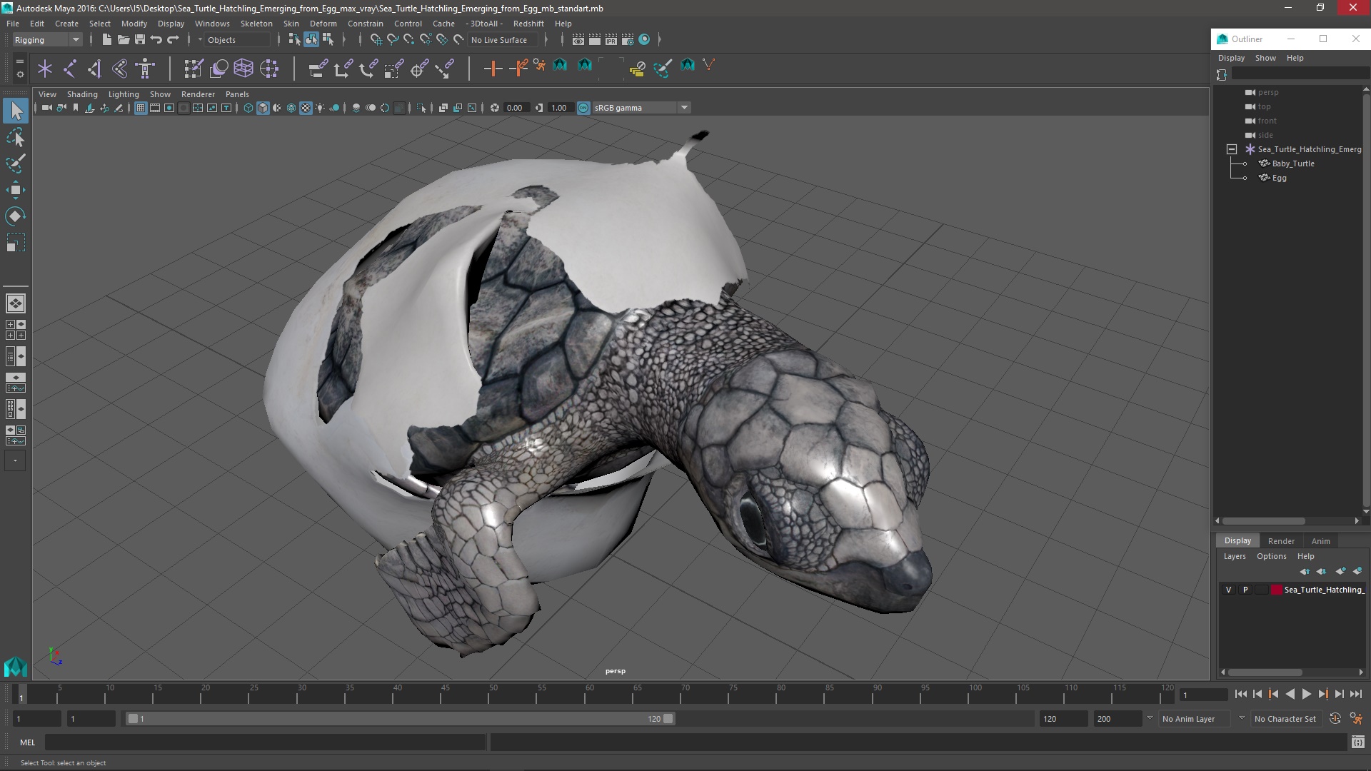 3D Sea Turtle Hatchling Emerging from Egg model
