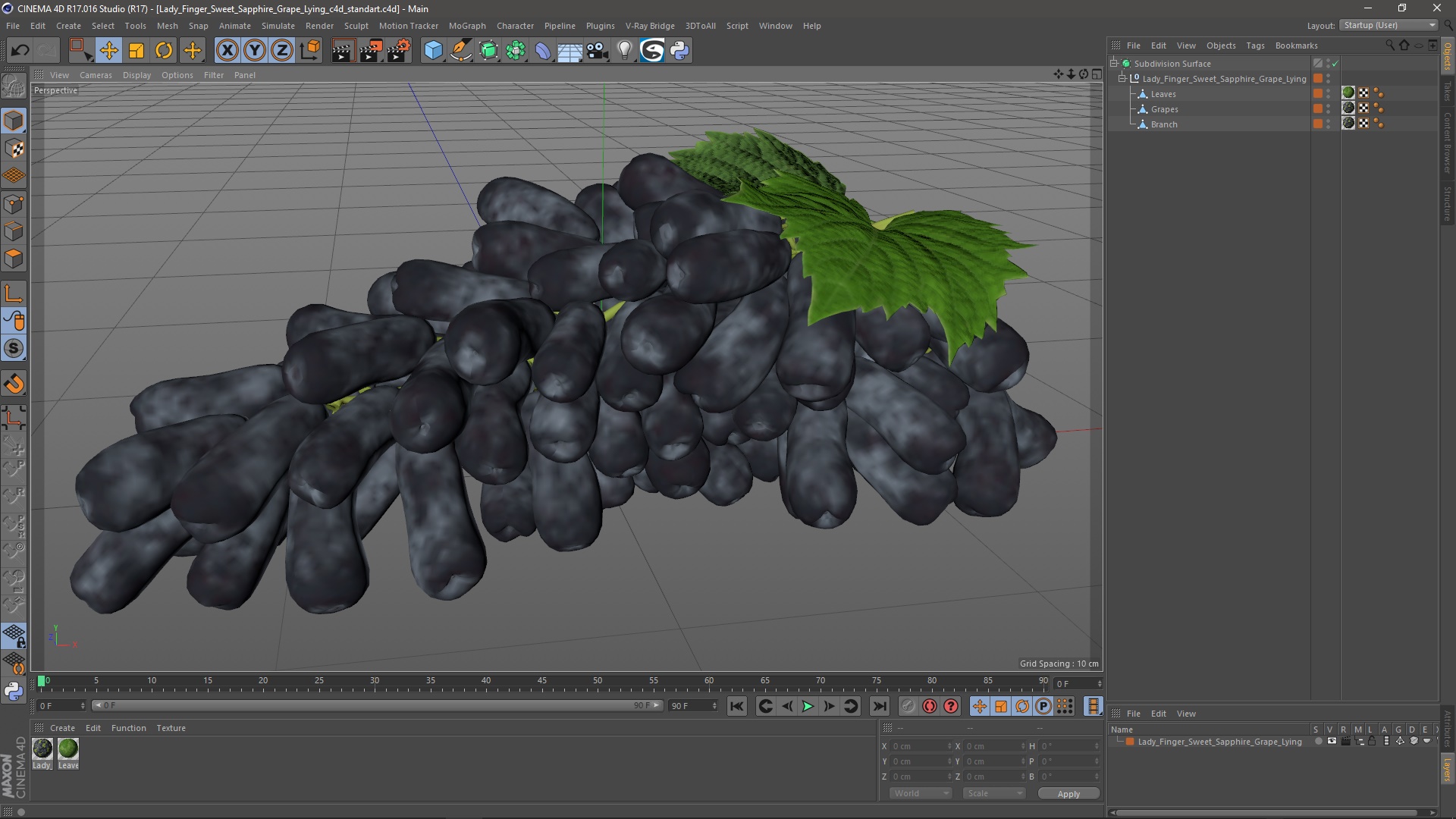 3D Lady Finger Sweet Sapphire Grape Lying model