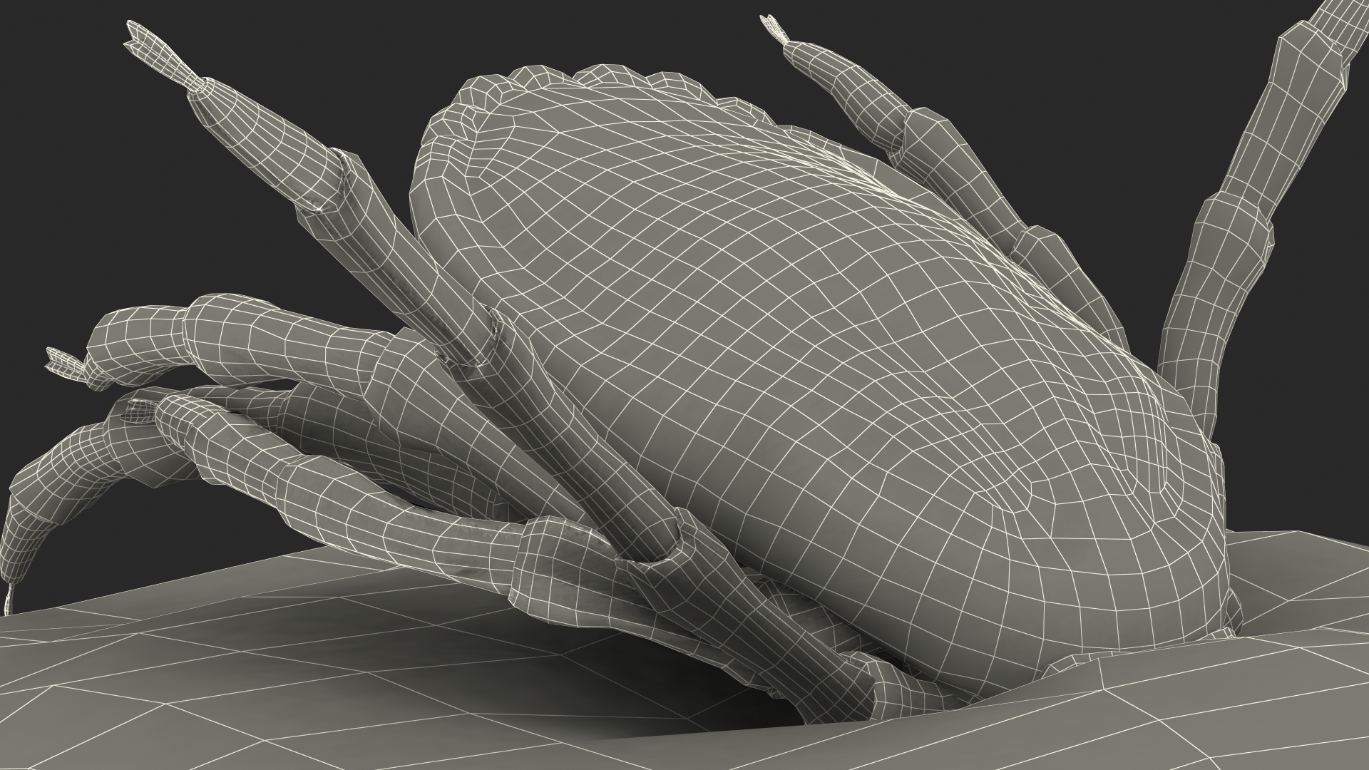 3D Tick Stuck in Skin model