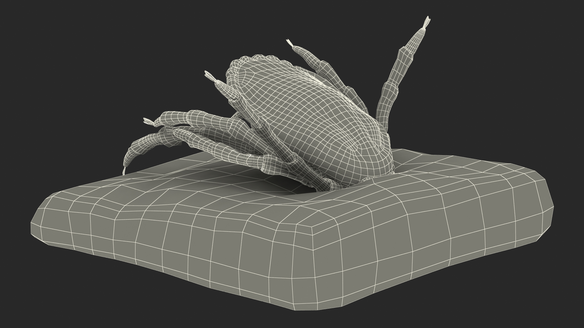 3D Tick Stuck in Skin model