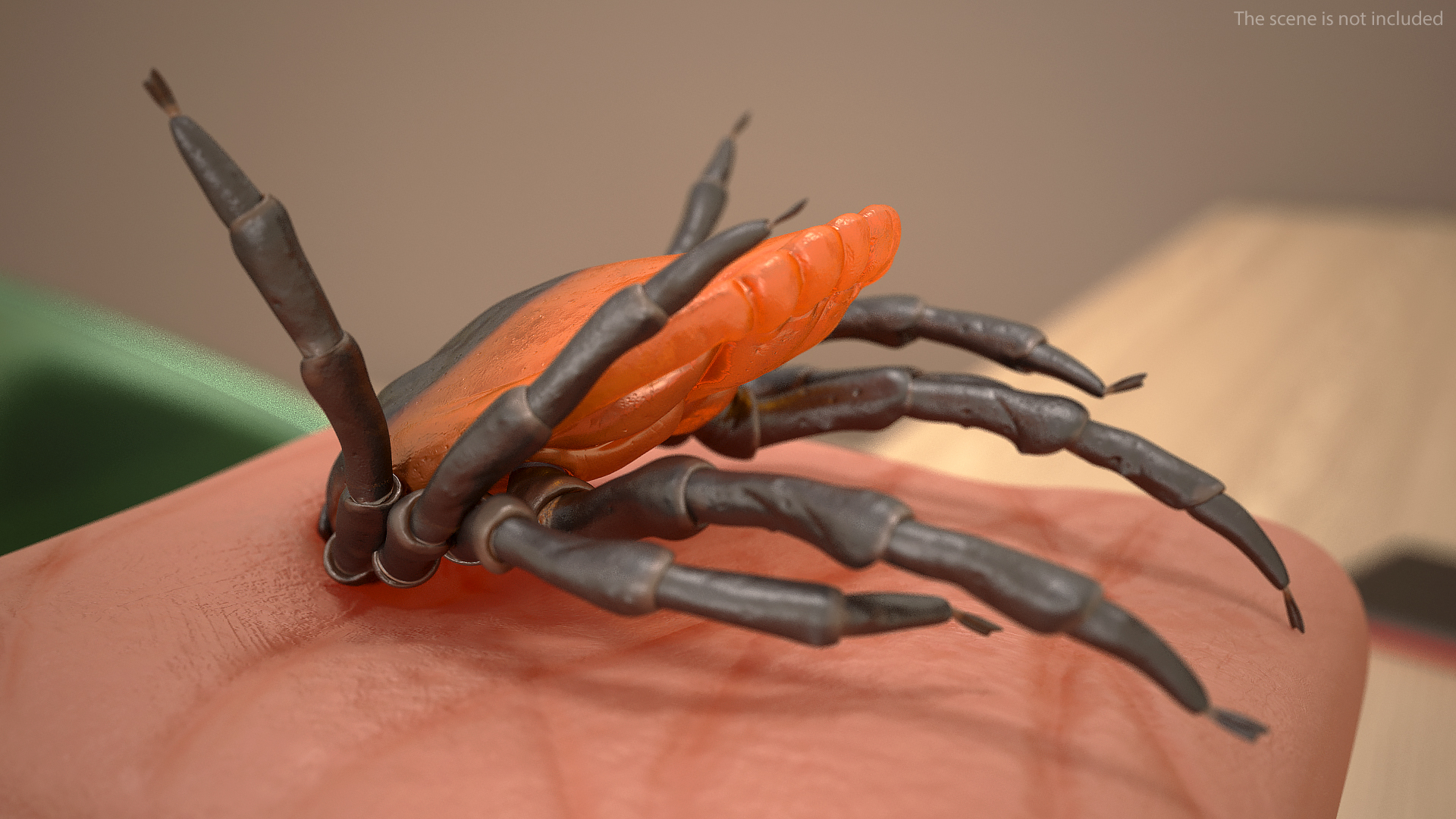3D Tick Stuck in Skin model