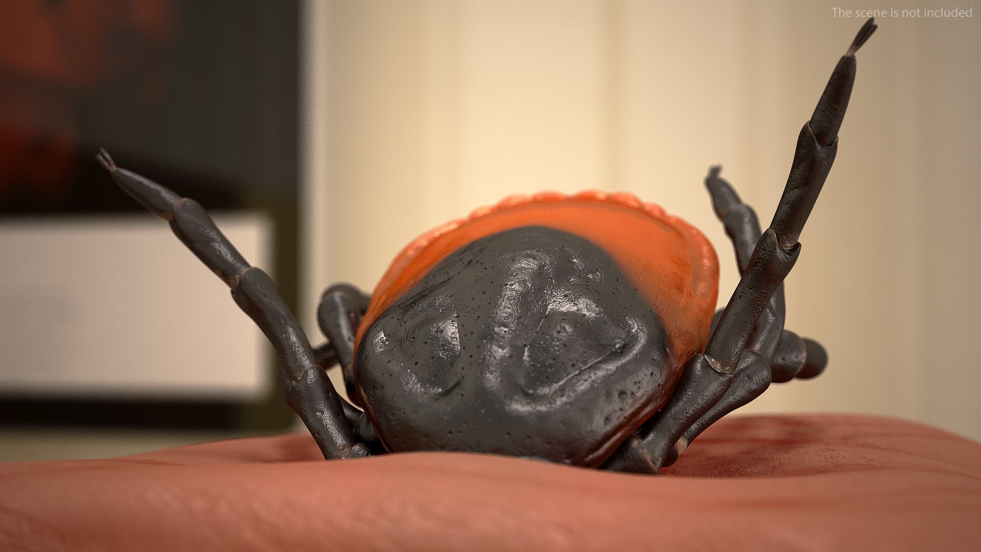 3D Tick Stuck in Skin model